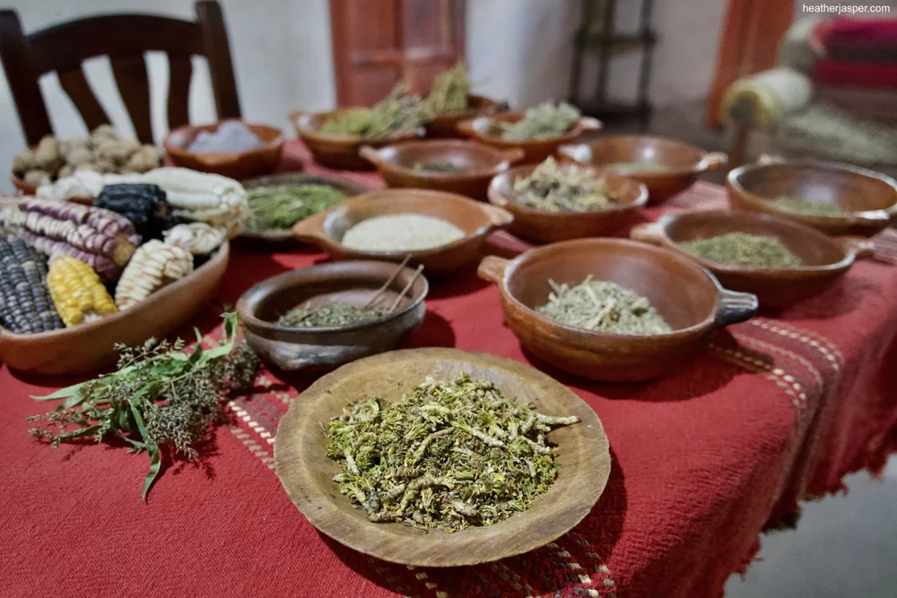 Celestinas herbs 3.jpeg