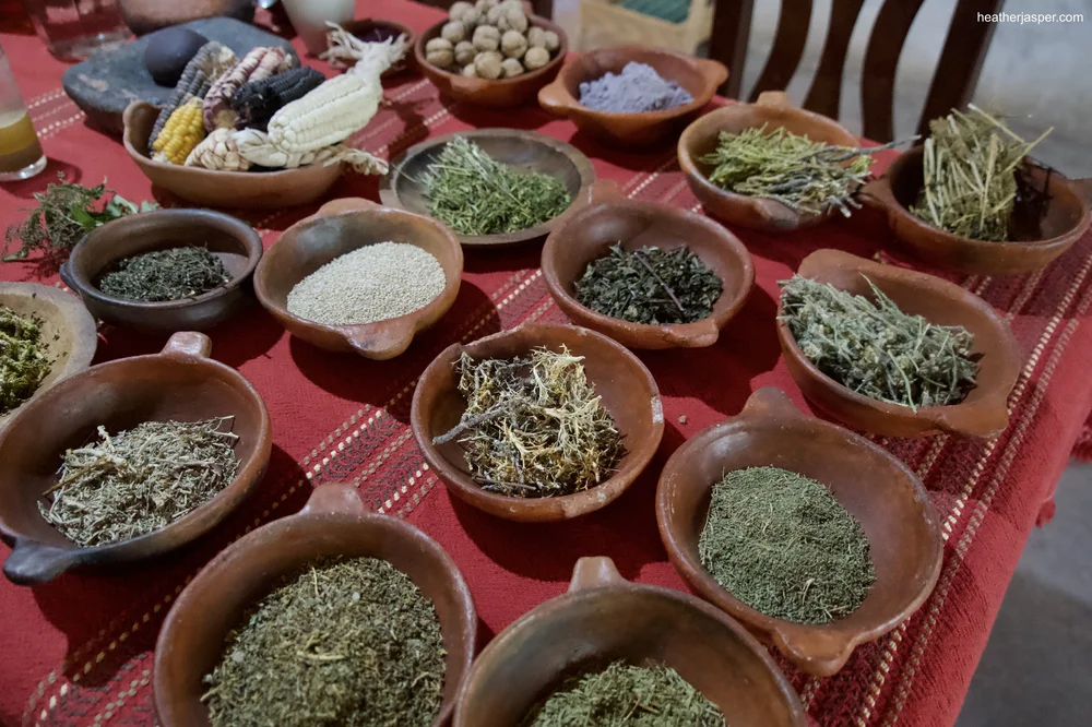 Celestinas herbs 7.jpeg
