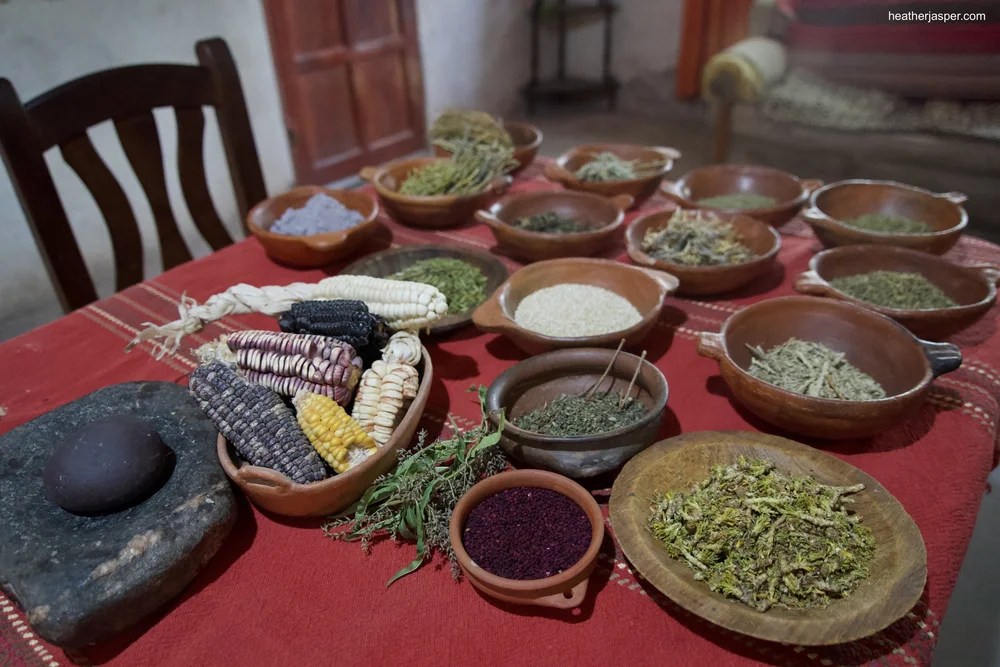 Celestinas herbs 9.jpeg