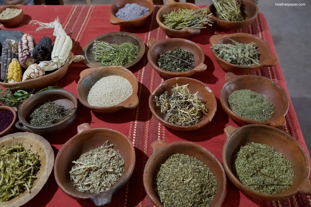 Celestinas herbs 10.jpeg