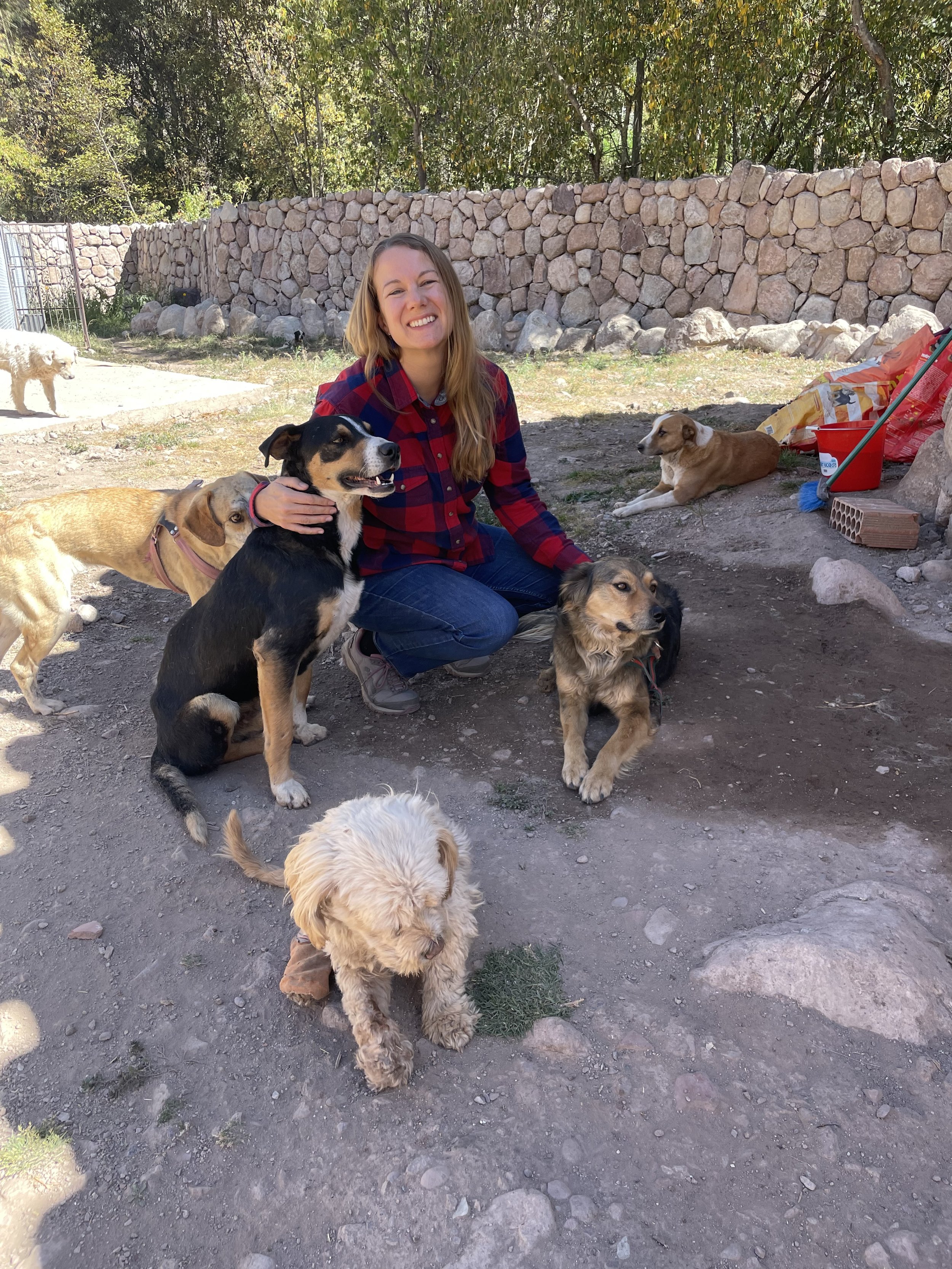 Colitas Con Canas is an animal shelter in the Sacred Valley near Cusco.