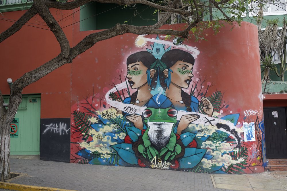 Barranco murals 2.jpeg