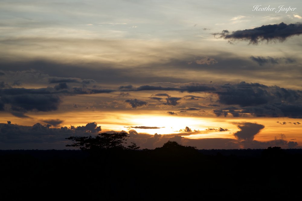 Sunset from the Posada Amazonas tower