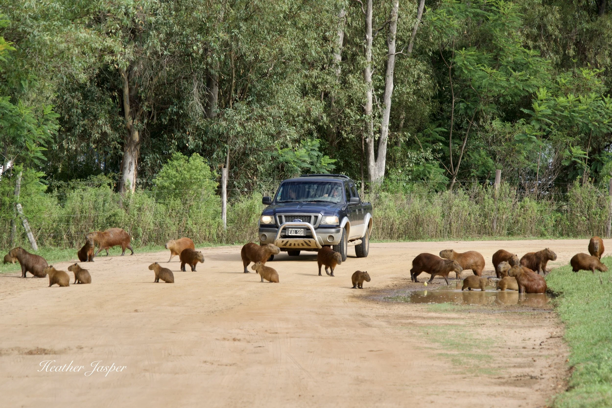 road trip in Argentina