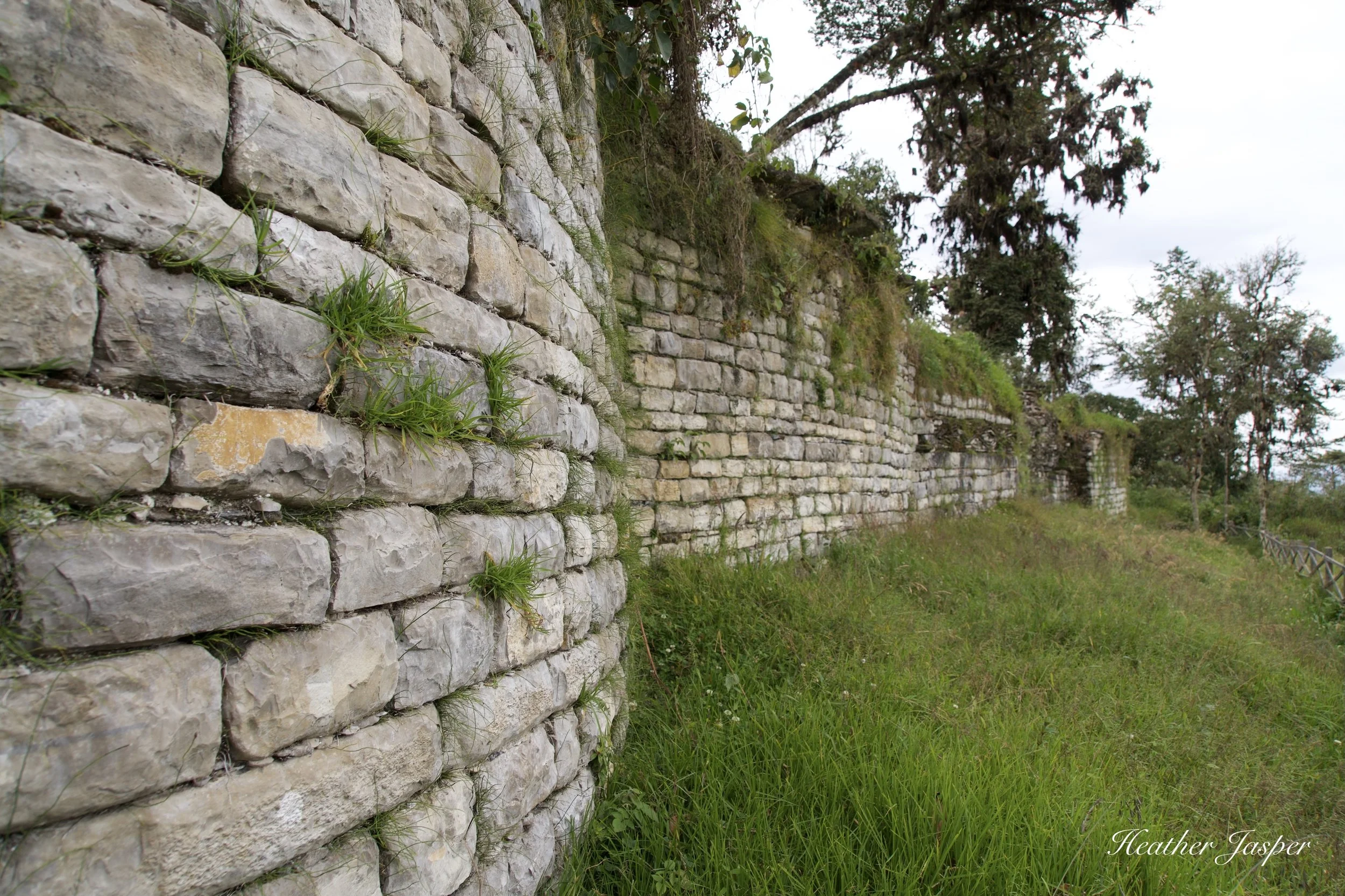 yalape walls 1.jpeg