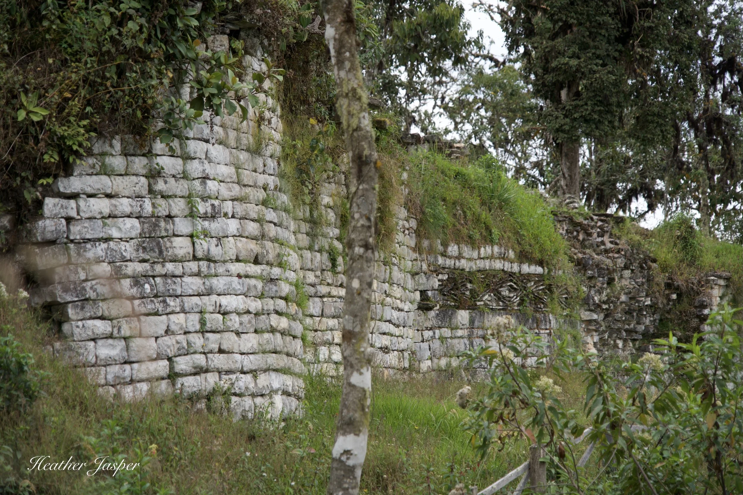 yalape walls 2.jpeg