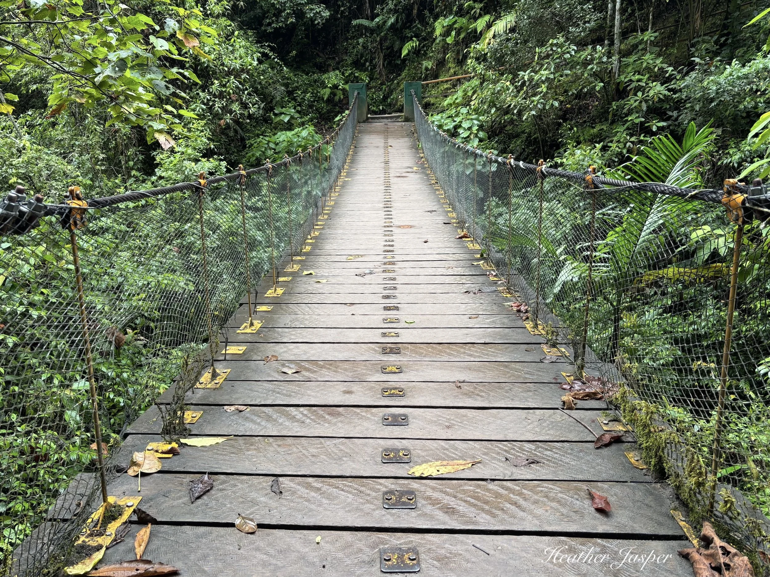 There is one suspension bridge on the trail.