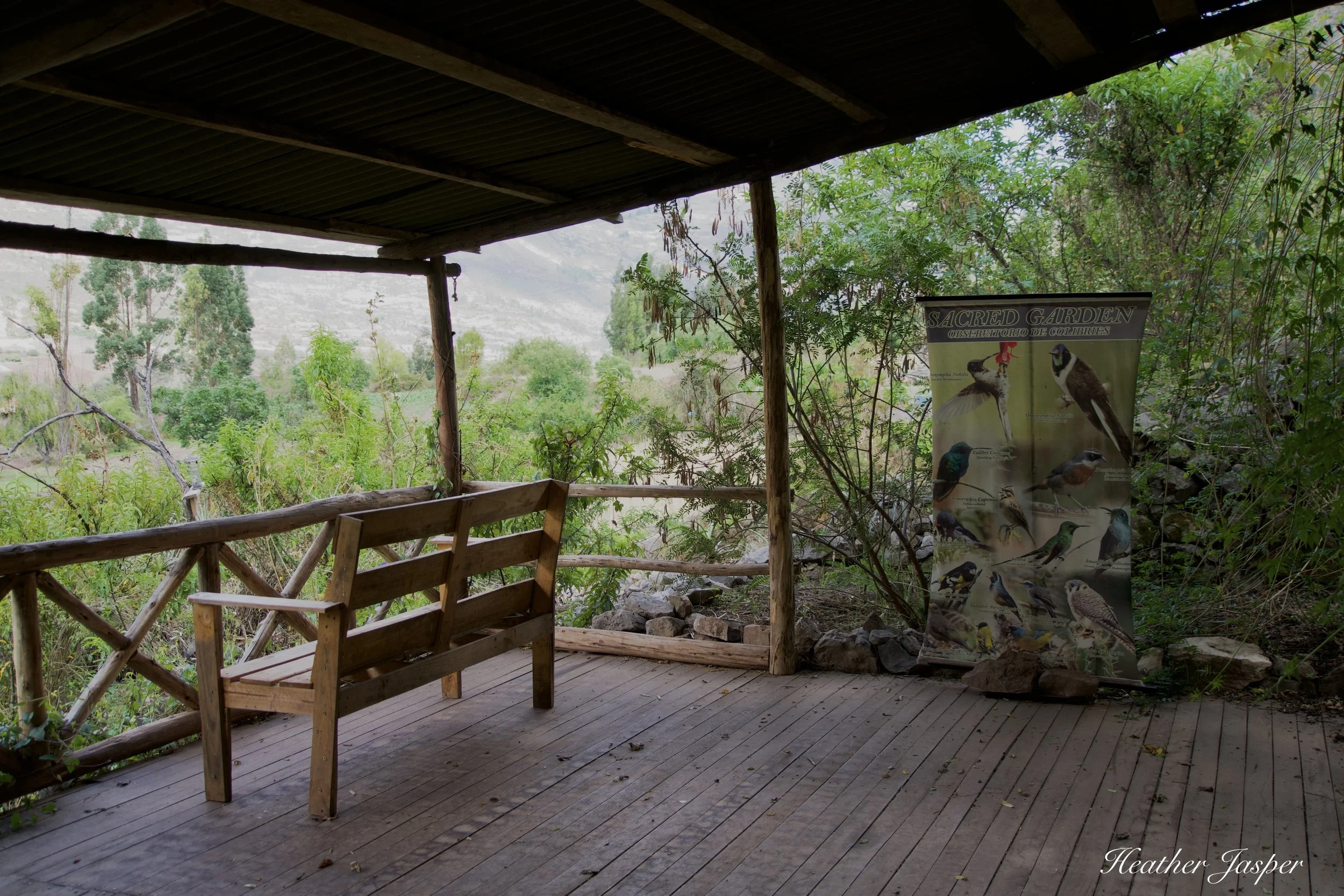 Viewpoint with bird feeders above the gardens.
