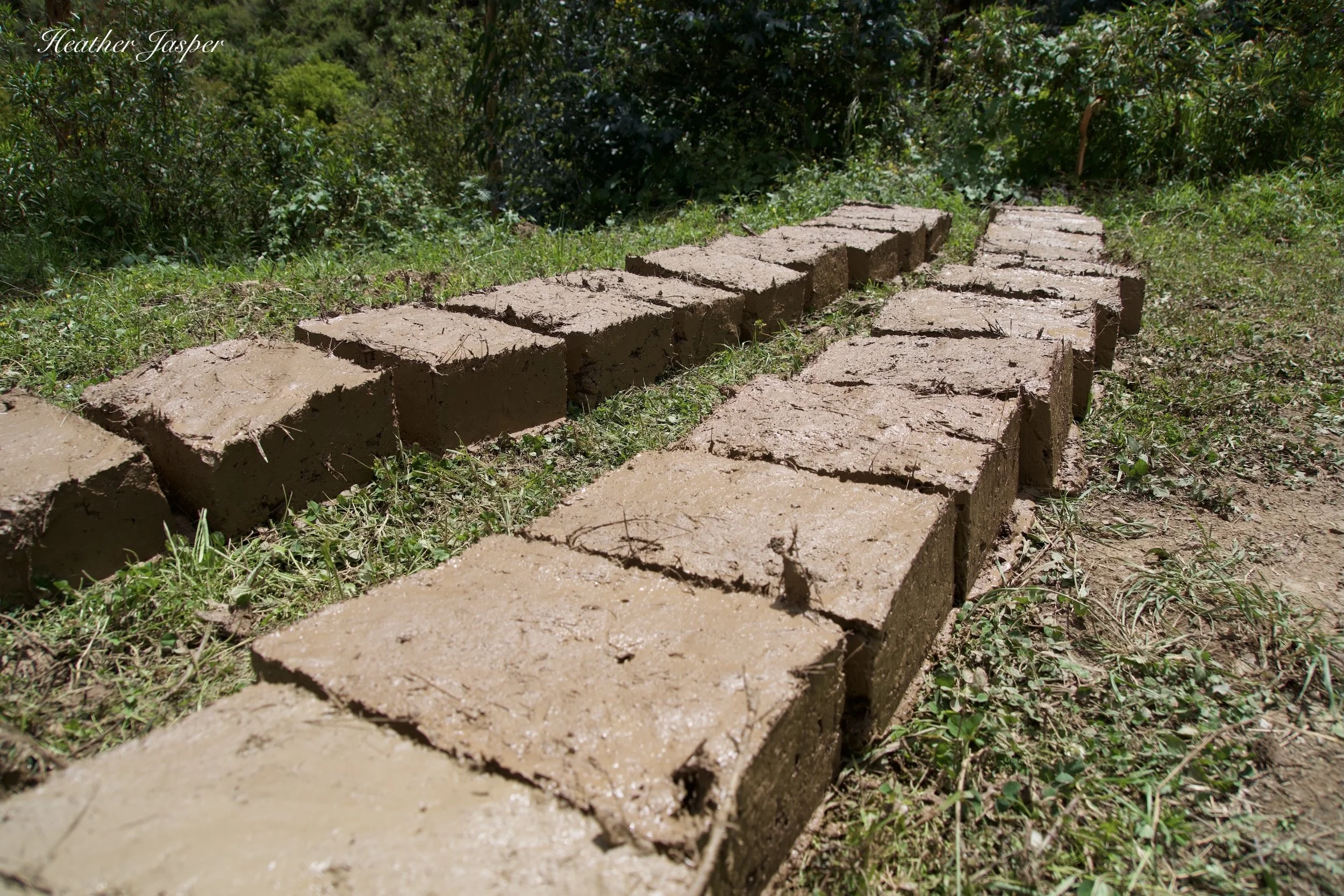 making adobe bricks 8.jpeg