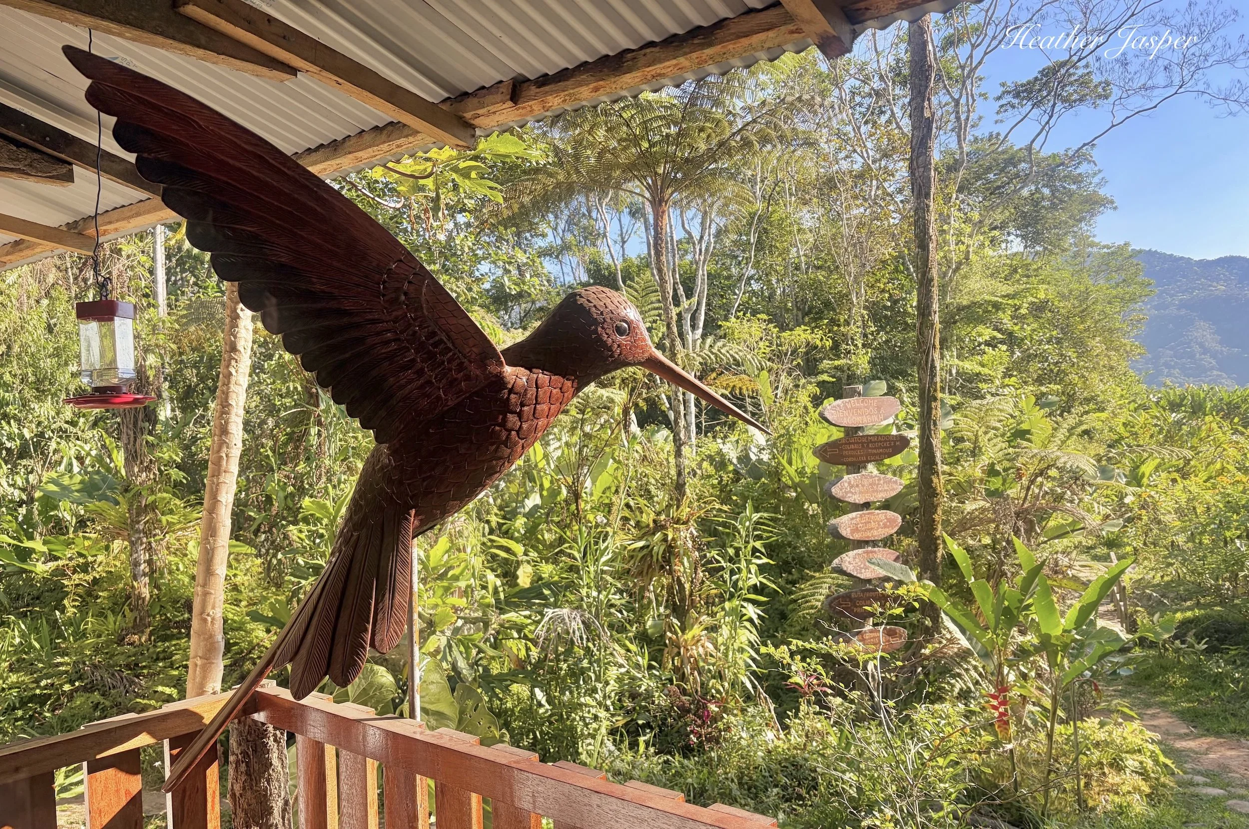 Tarapoto