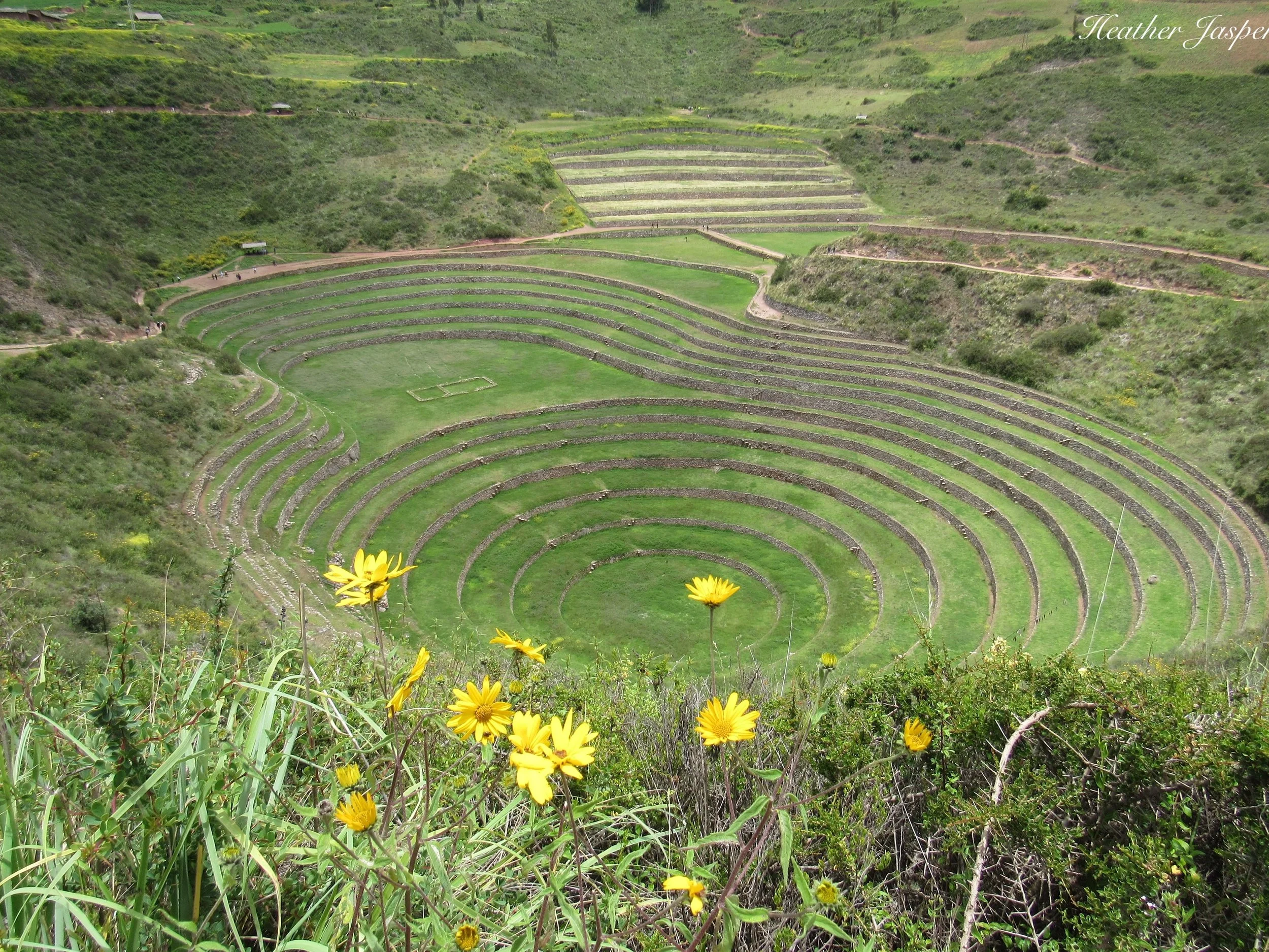 Moray was not an agricultural laboratory