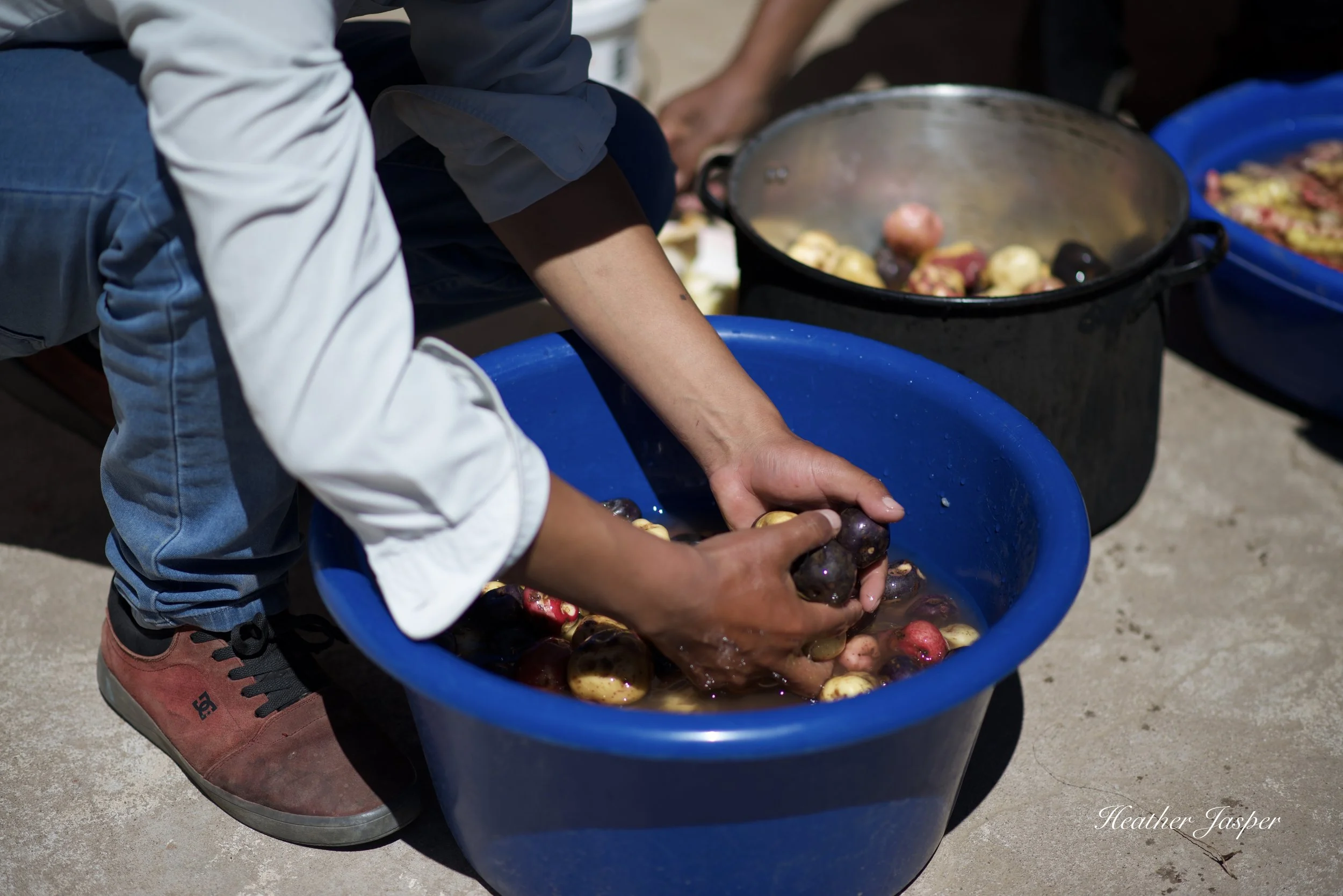 how to choose a homestay on Lake Titicaca