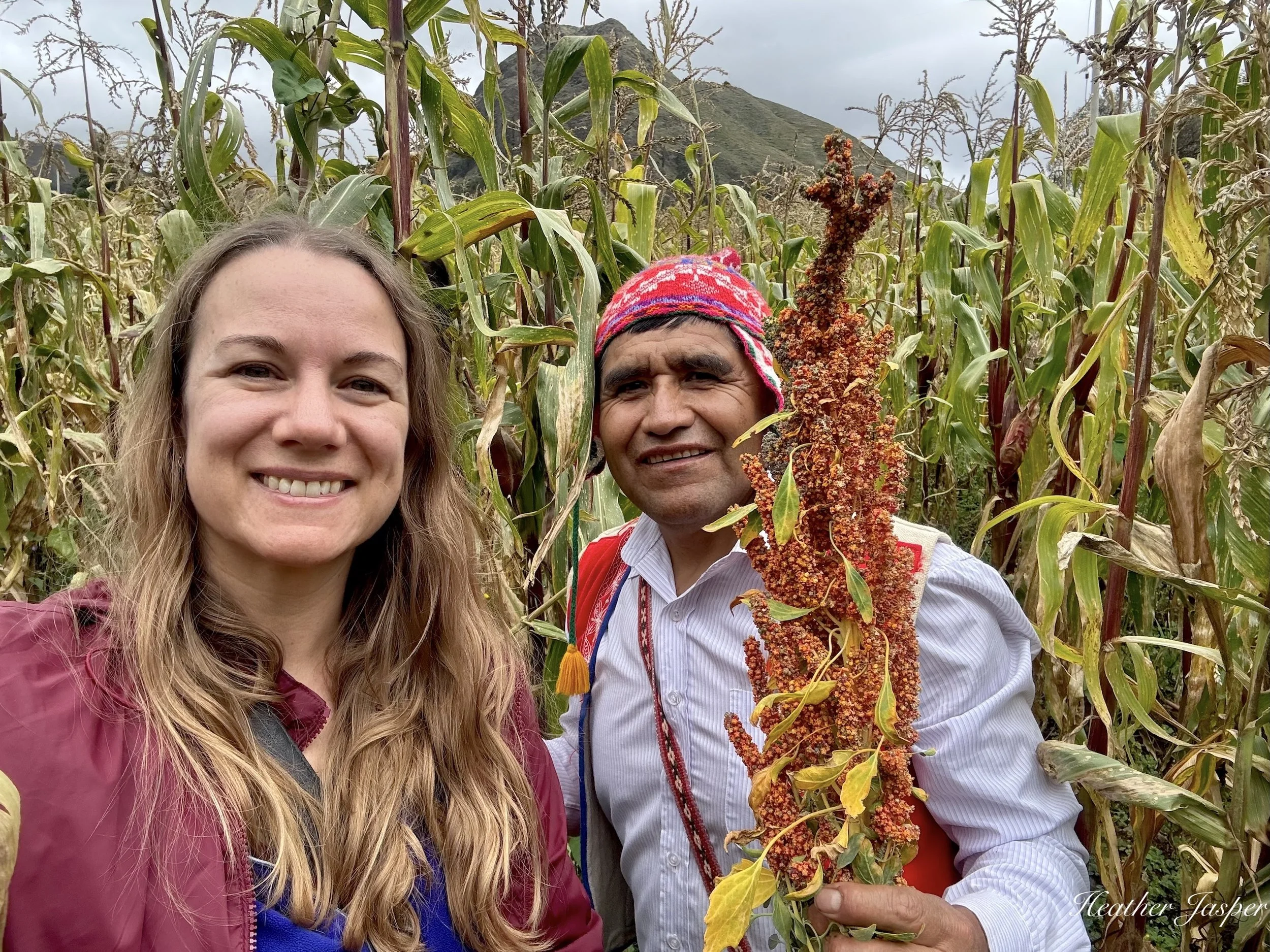 how to choose a homestay with activities when traveling