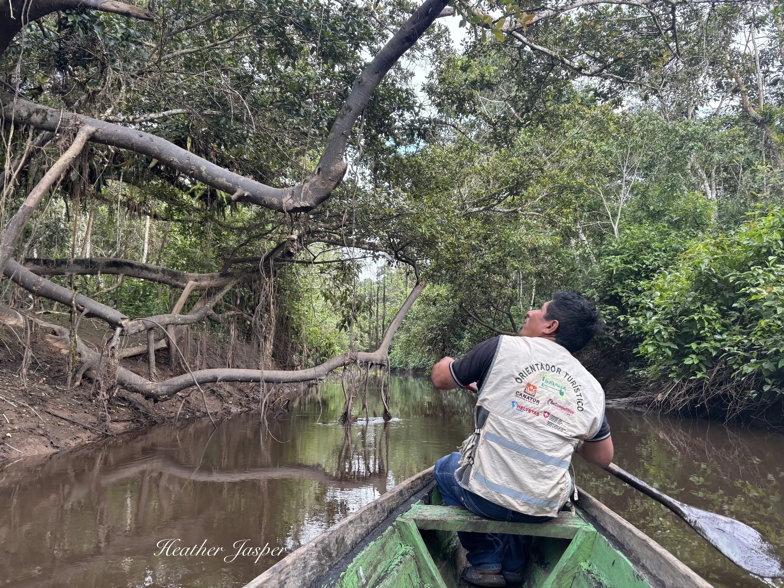 Tingana Wildlife Refuge Northern Peru
