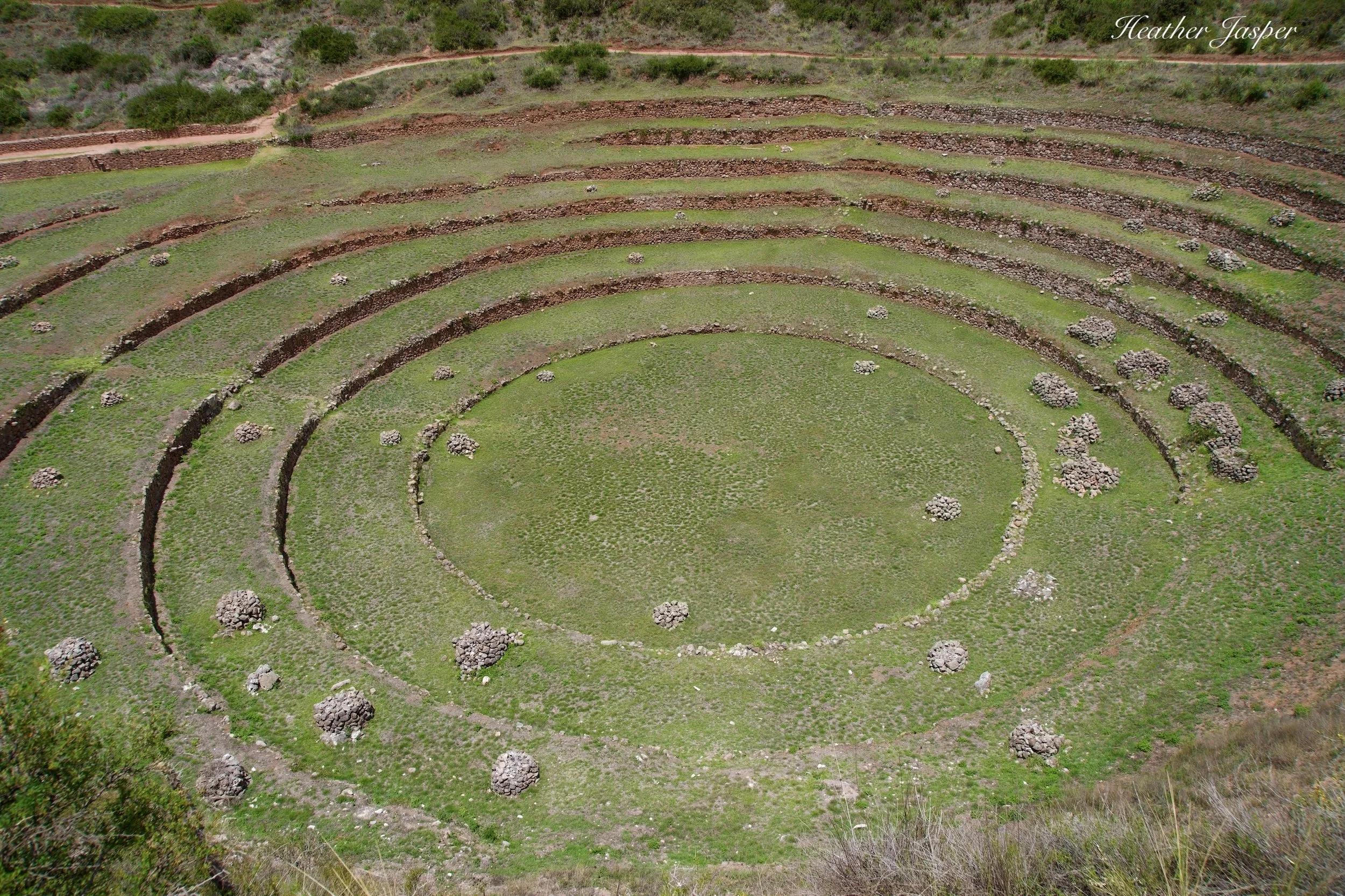 circles at Moray were not an agricultural laboratory