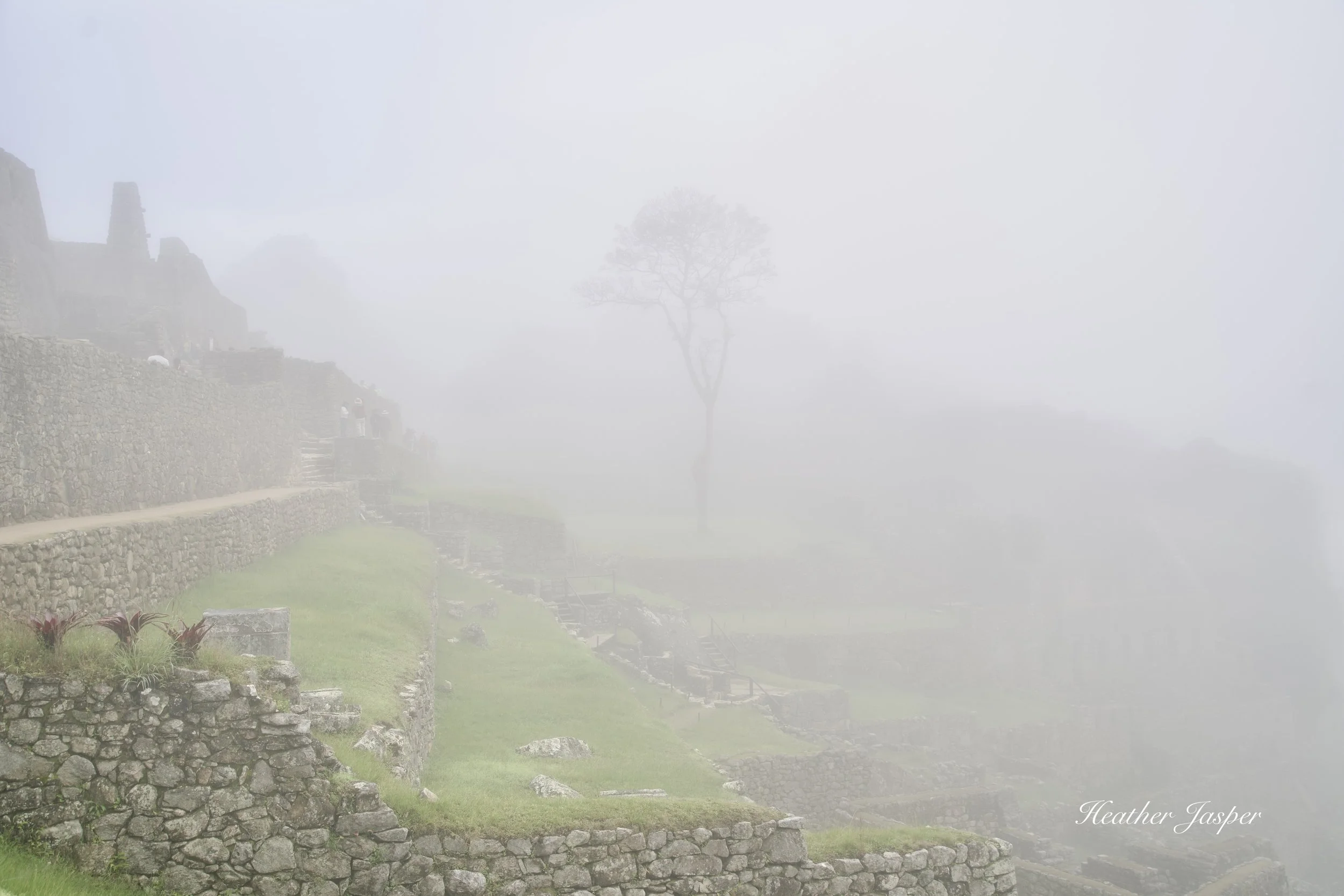 foggy Machu Picchu cloudforest Peru