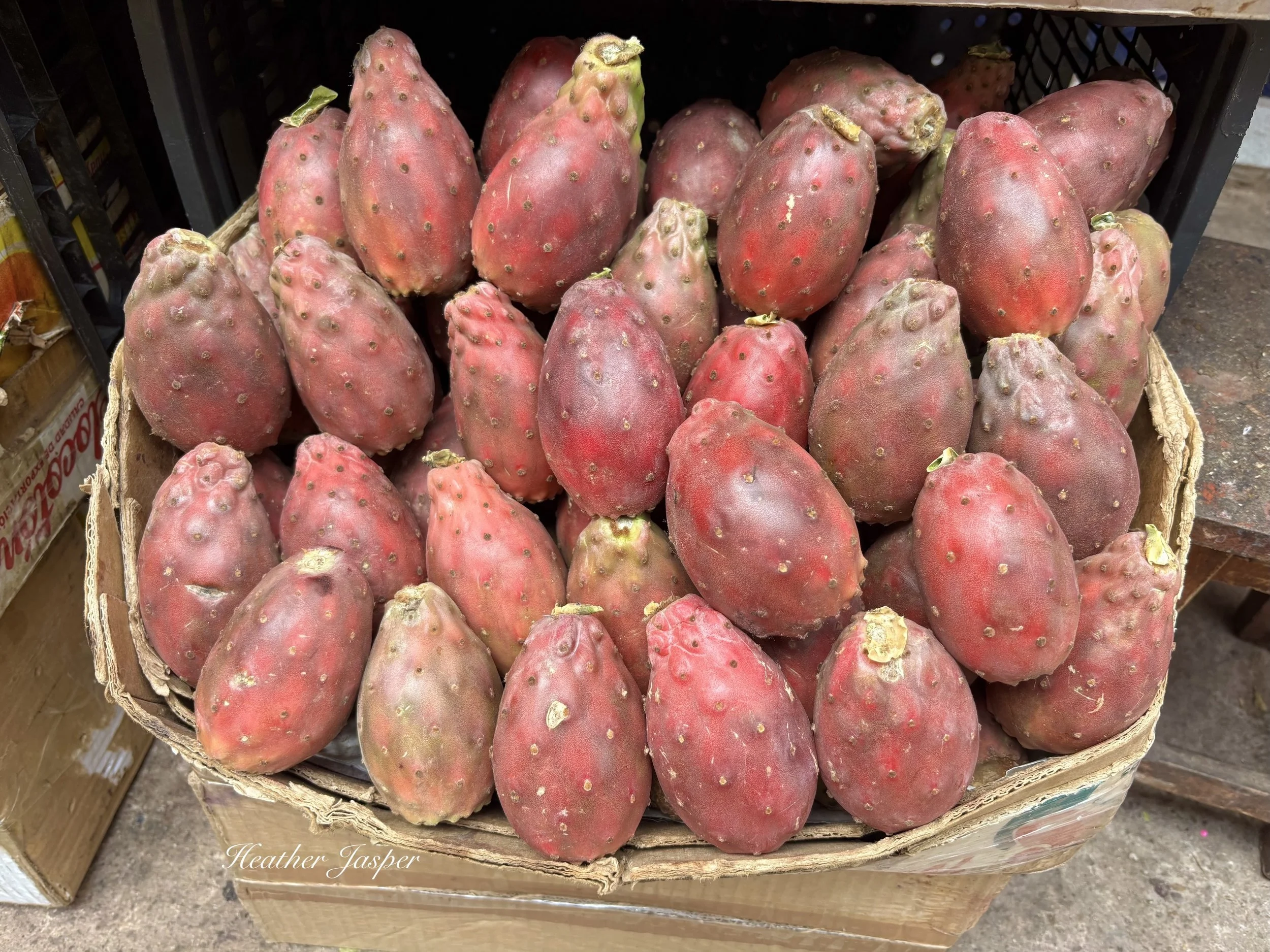 cactus fruit tuna in Cusco Peru