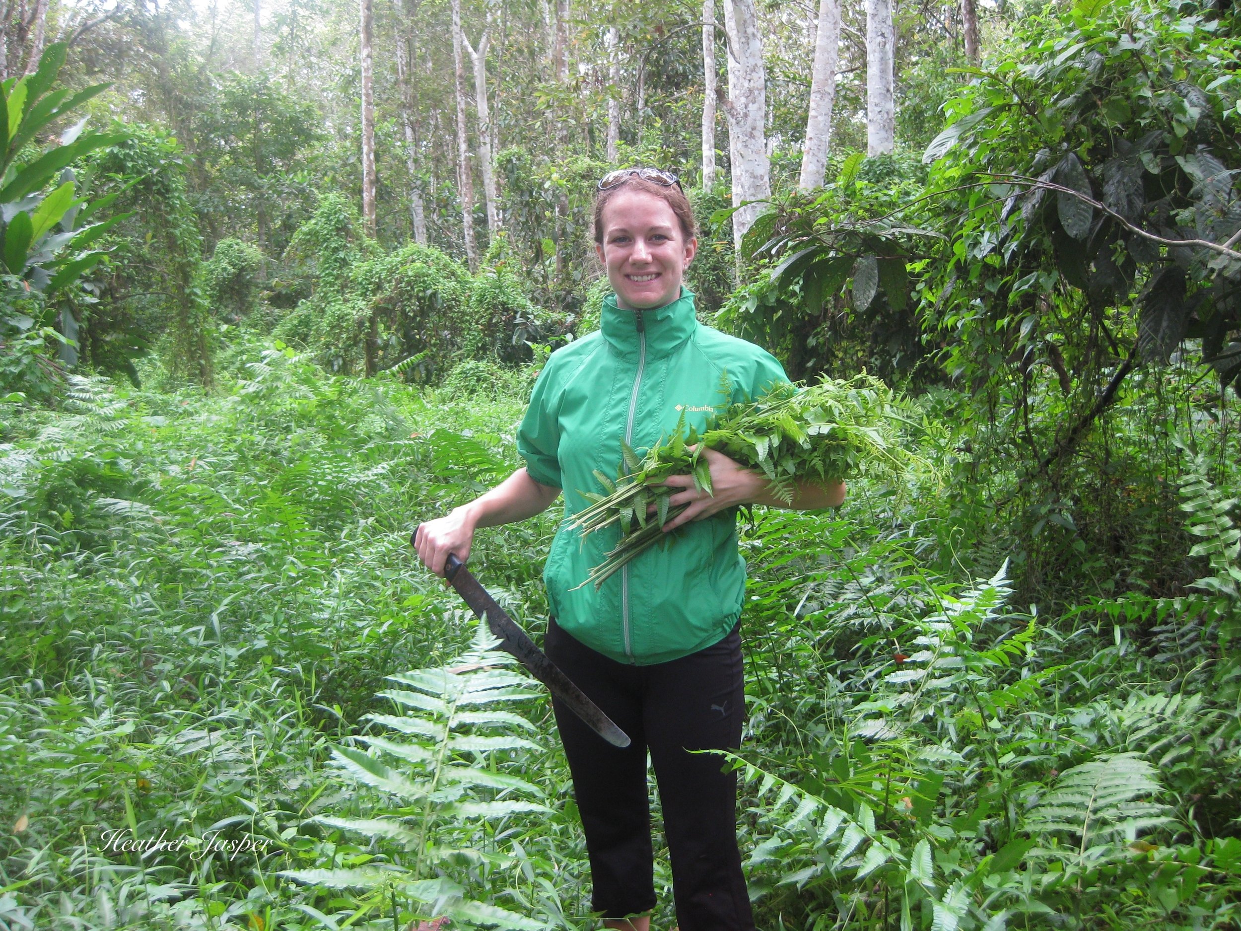why hire a local guide in Borneo