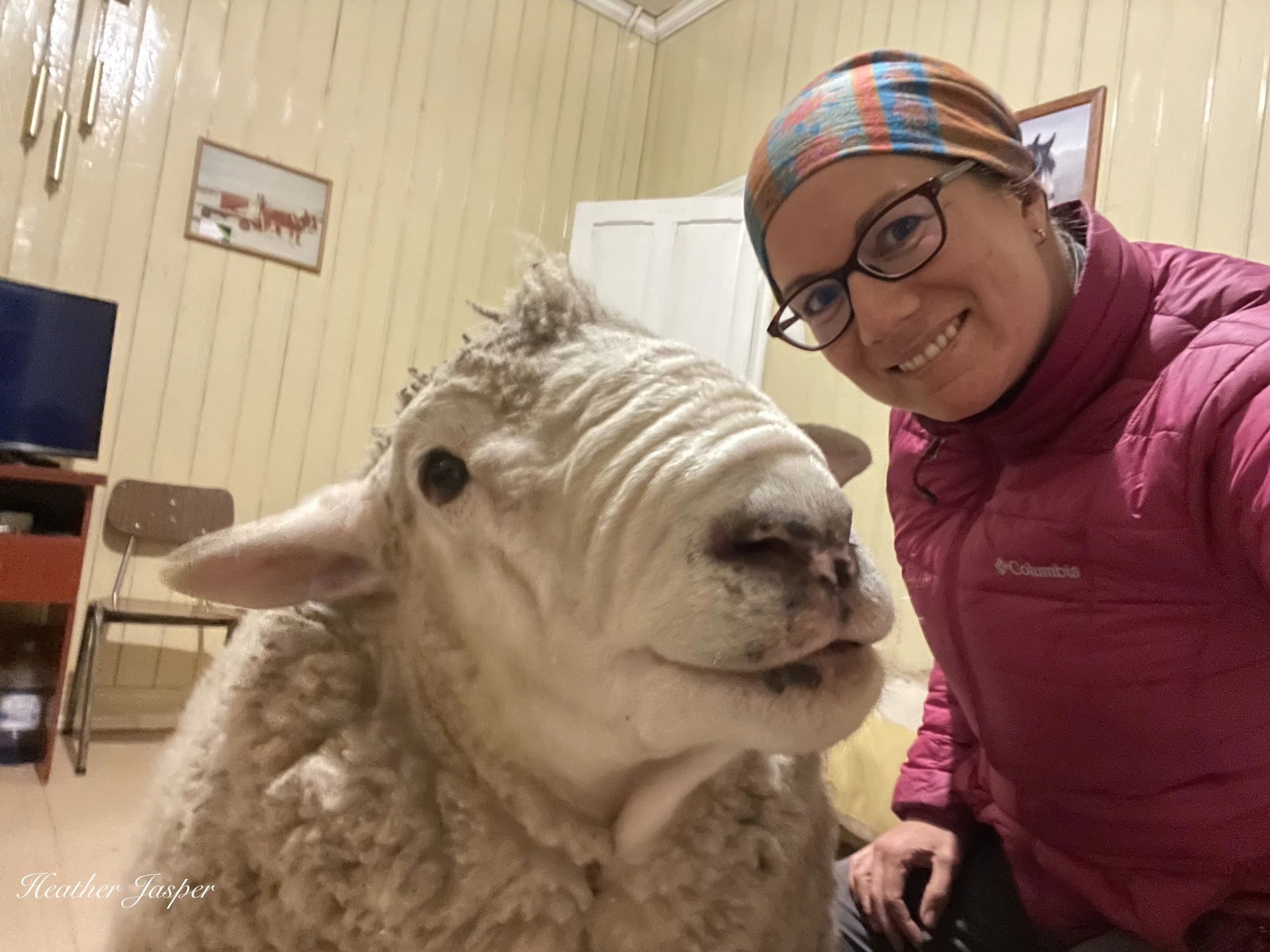 how to choose a homestay when traveling international