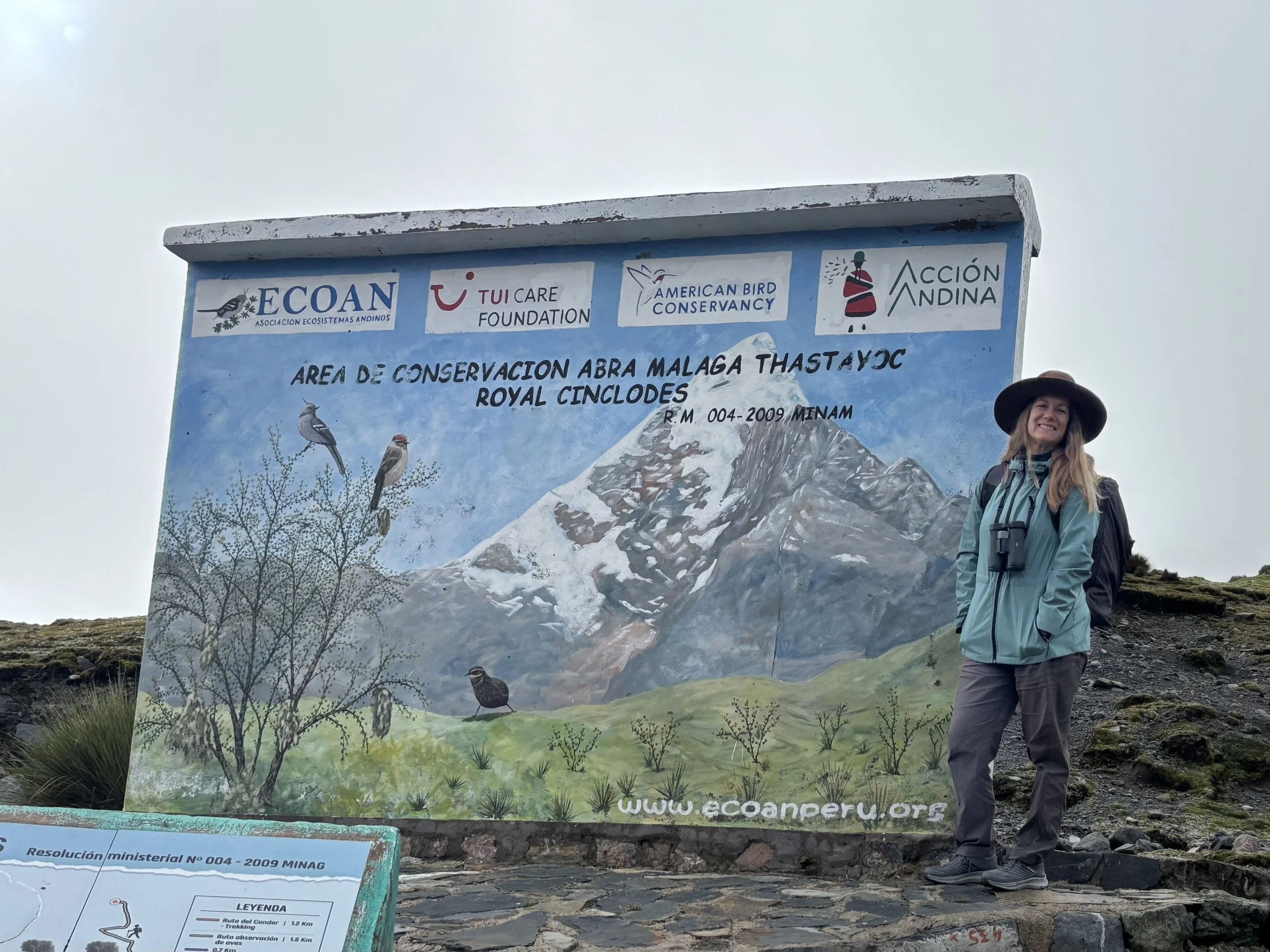Abra Malaga Ecoan Birding Cusco Peru