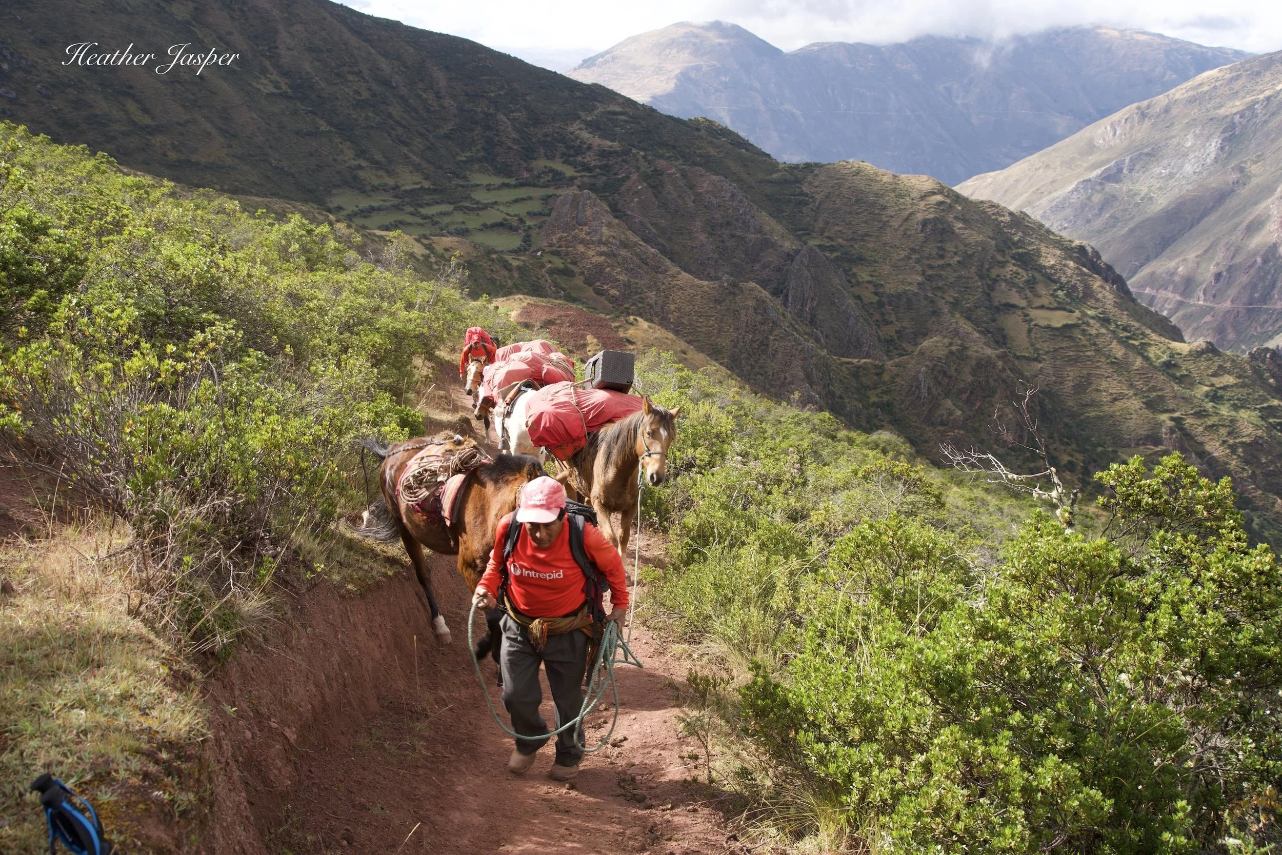 Intrepid packhorses Quarry Trail Peru