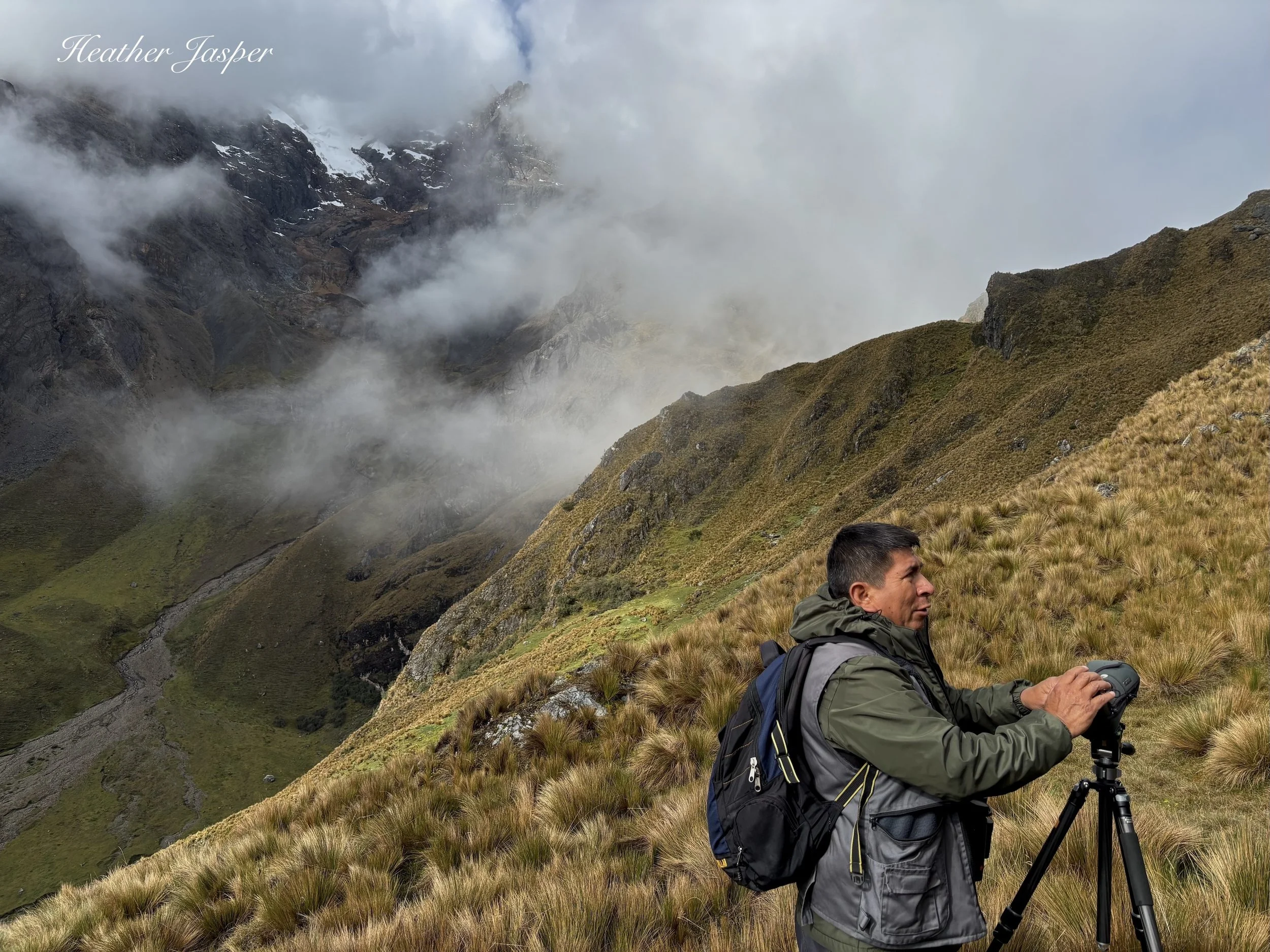 Birdwatching with Eco Peru Tours Abra Malaga