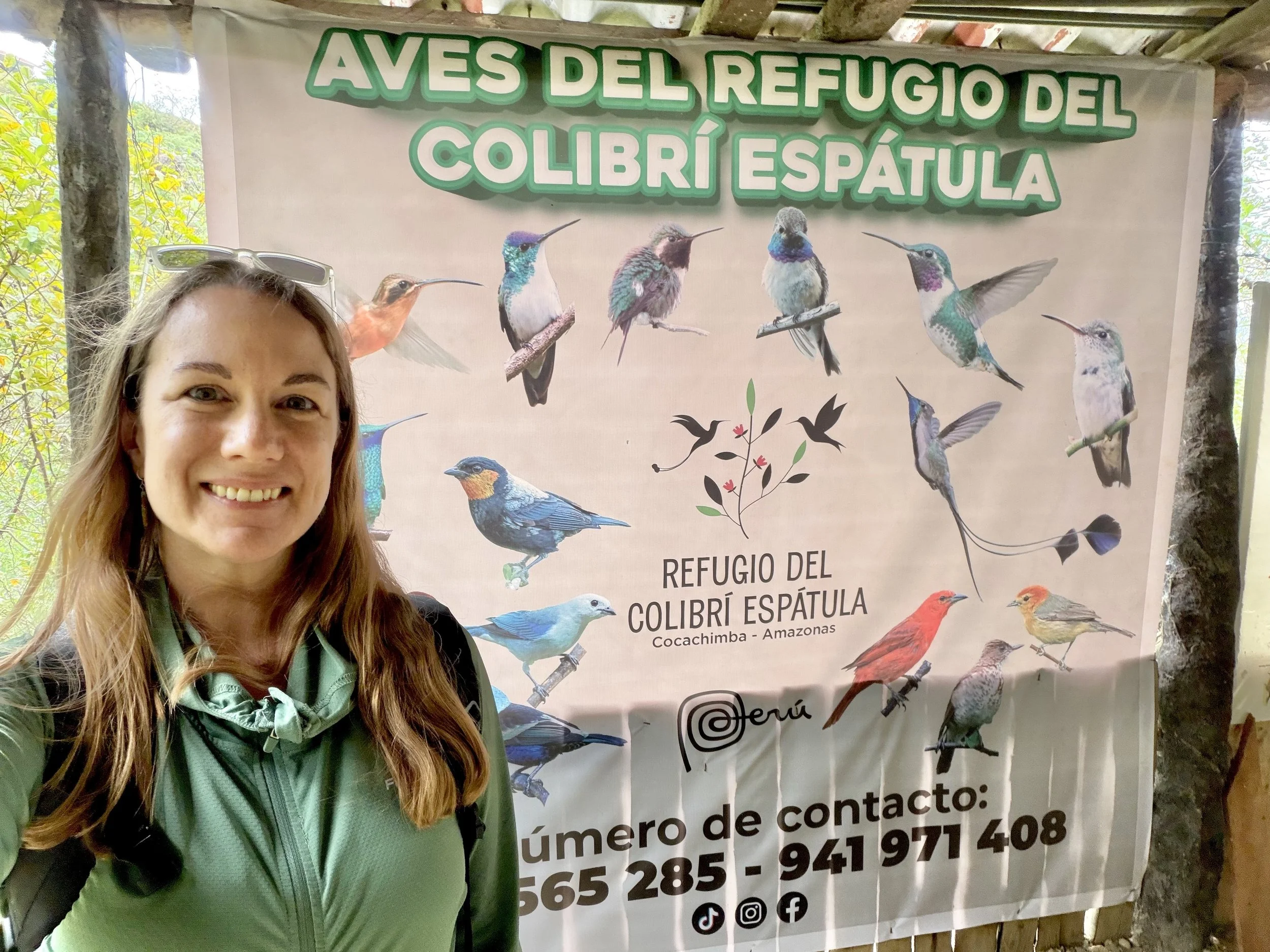 bird species at the Marvelous Spatuletail Refuge Cocachimba Amazonas Peru