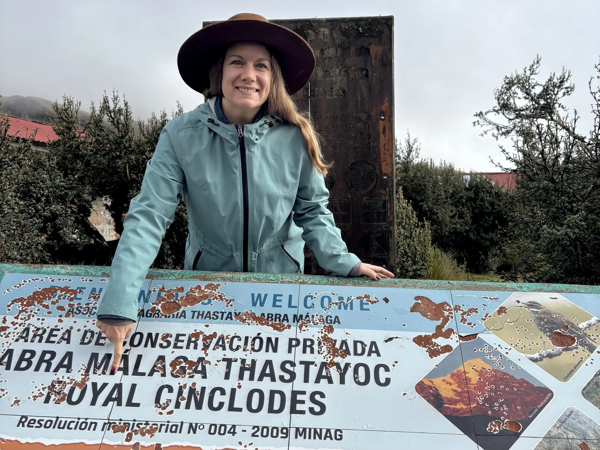 Birding Abra Malaga Cusco Peru