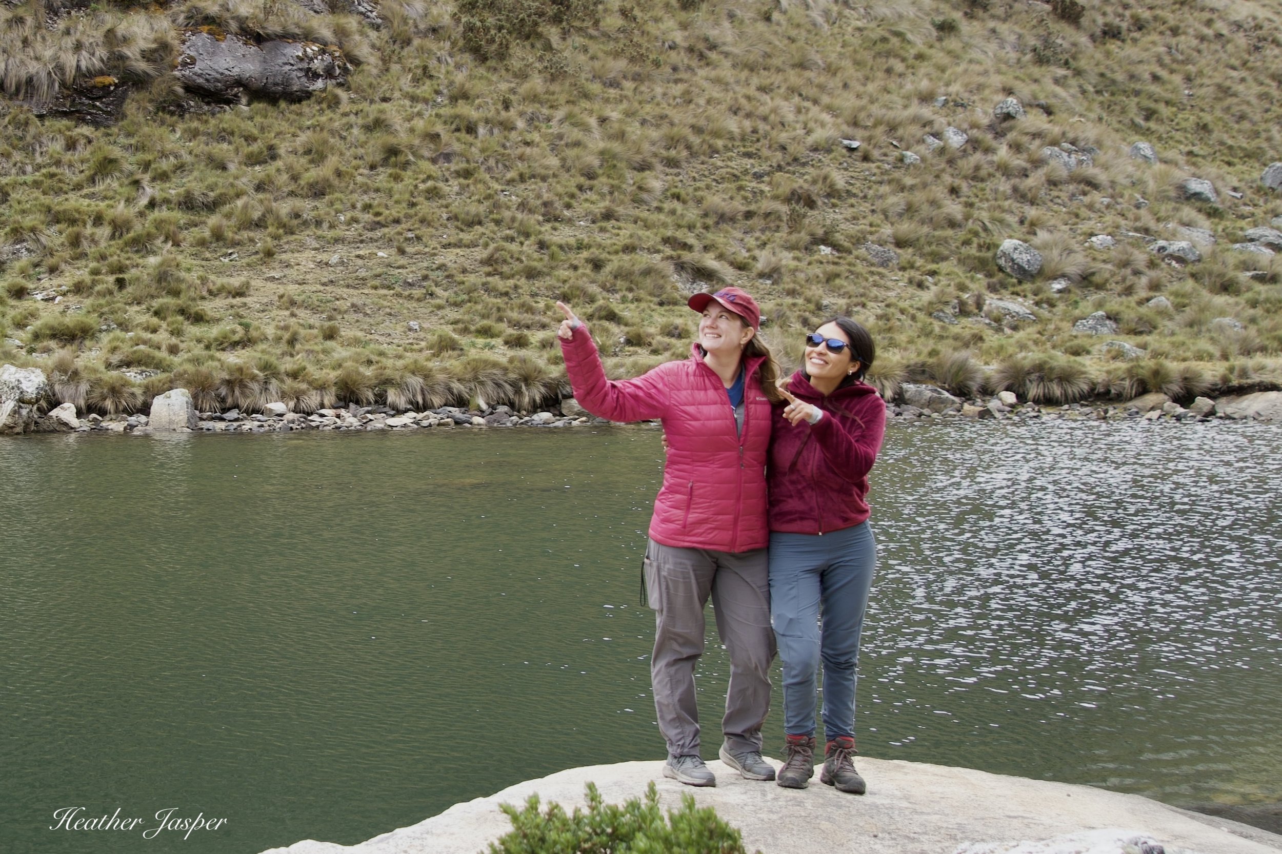 how to find the right tour operator