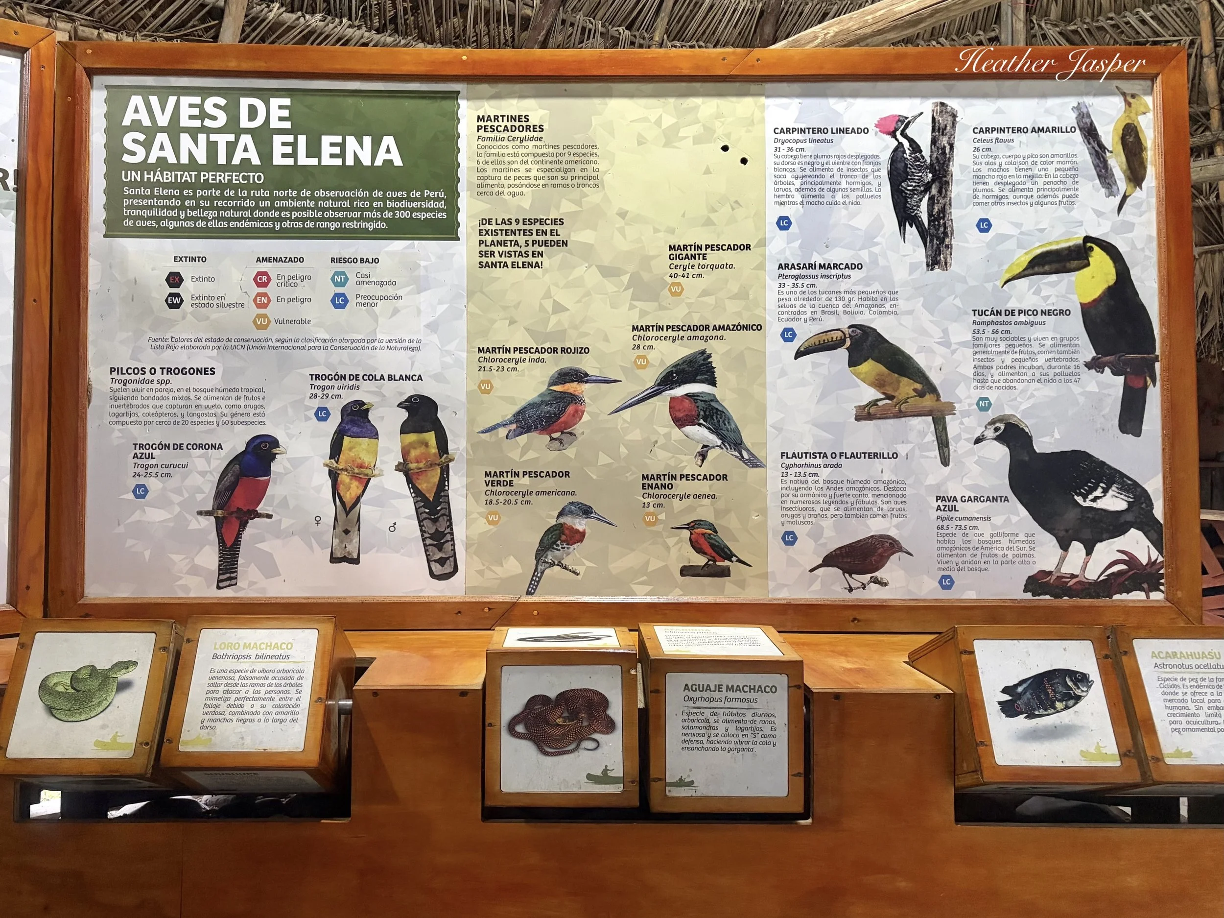 Santa Elena Nature Reserve San Martin Peru