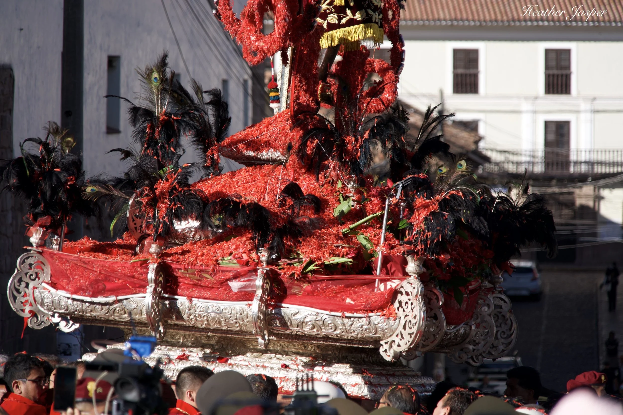 Nucchu flowers on the Lord of Earthquakes Cusco Peru