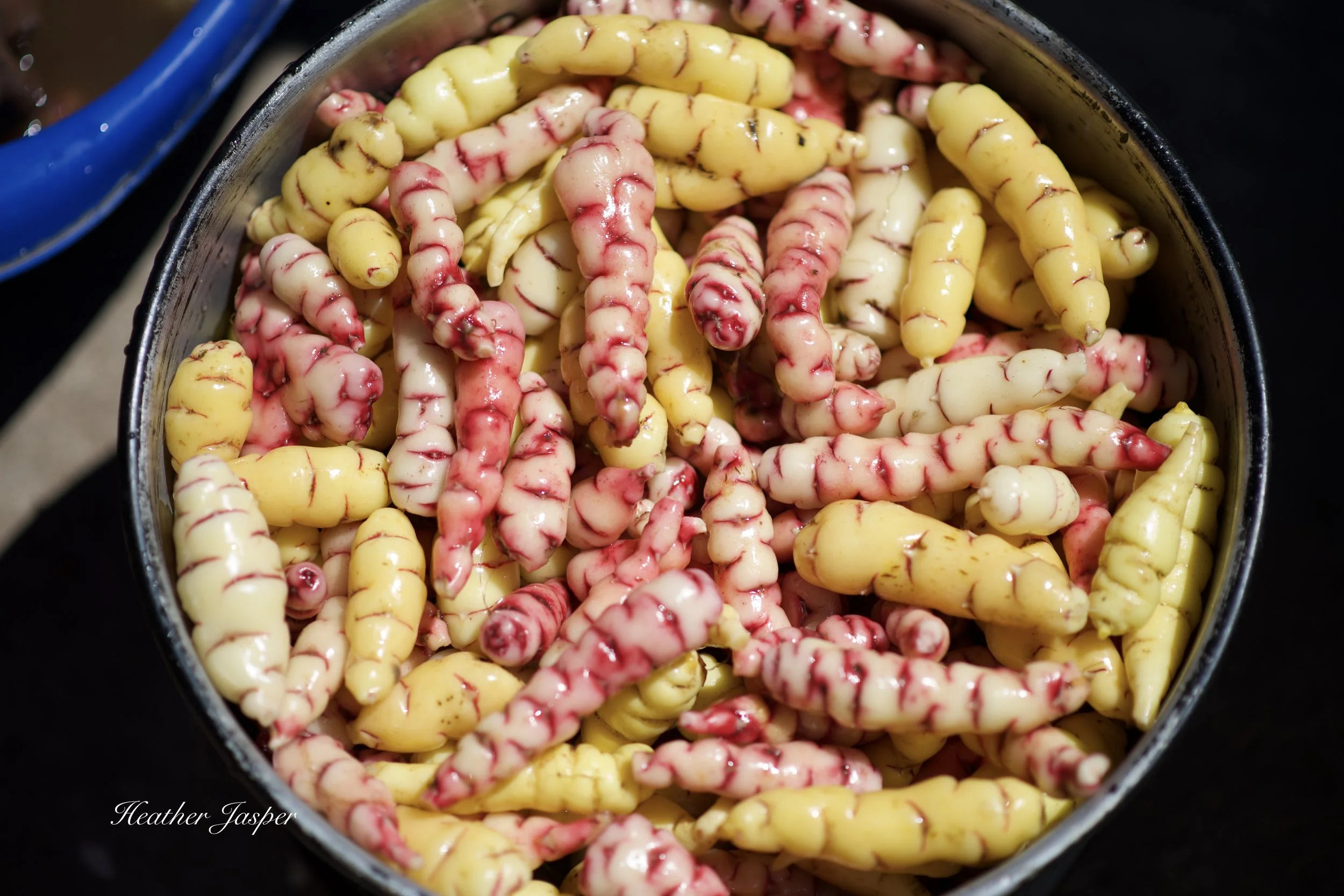 how to be an adventurous vegan