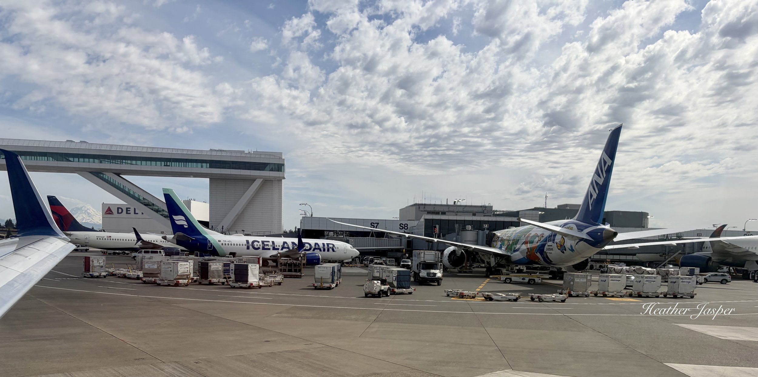 always buy flights directly from the airline