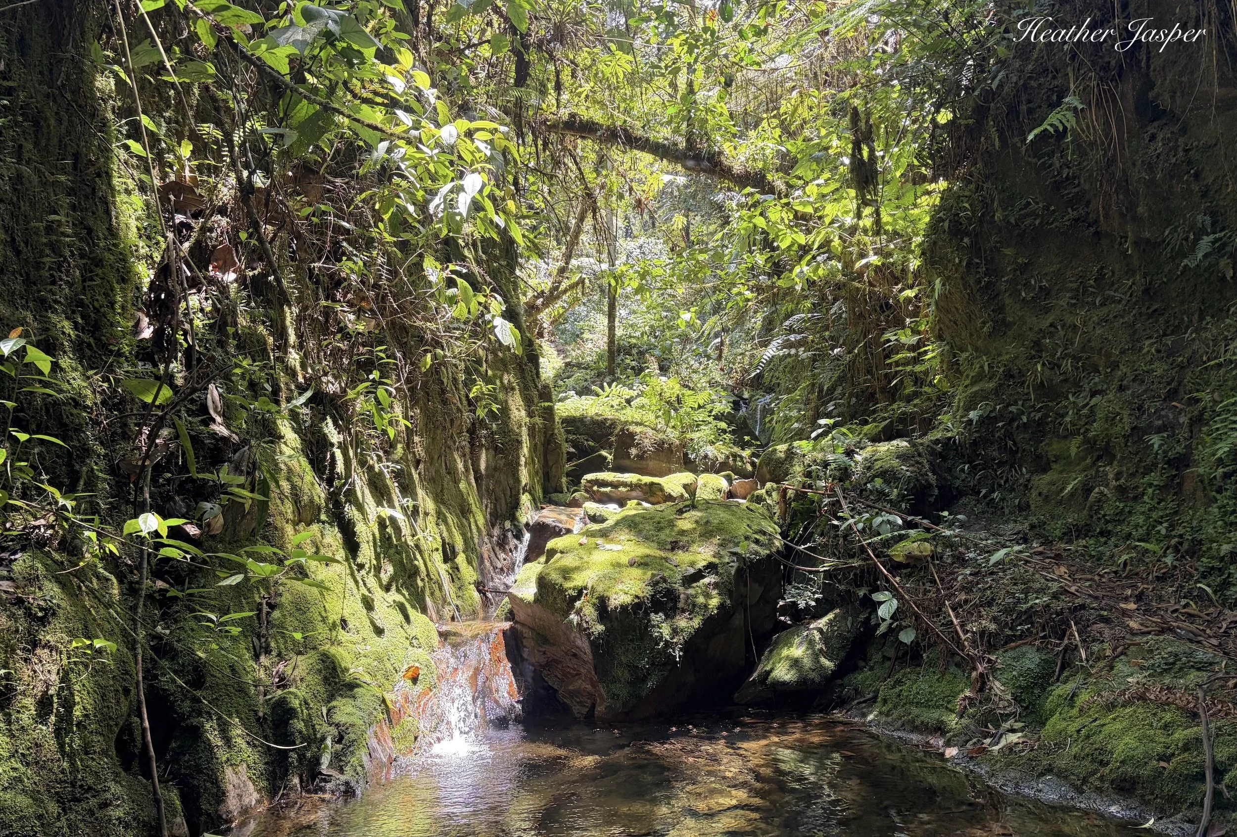waterfall hike at Tunquimayo Lodge Quillabamba Peru