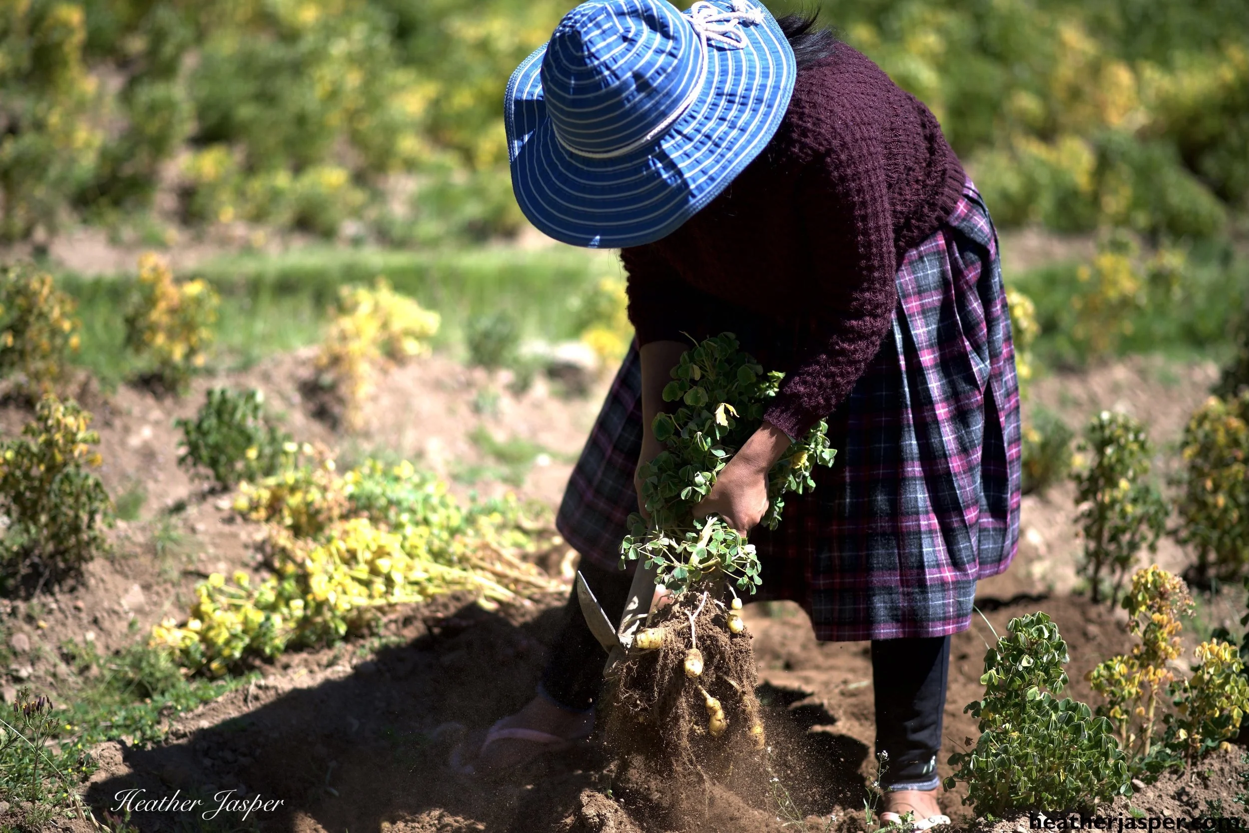 Community tourism on Amantaní Island Peru