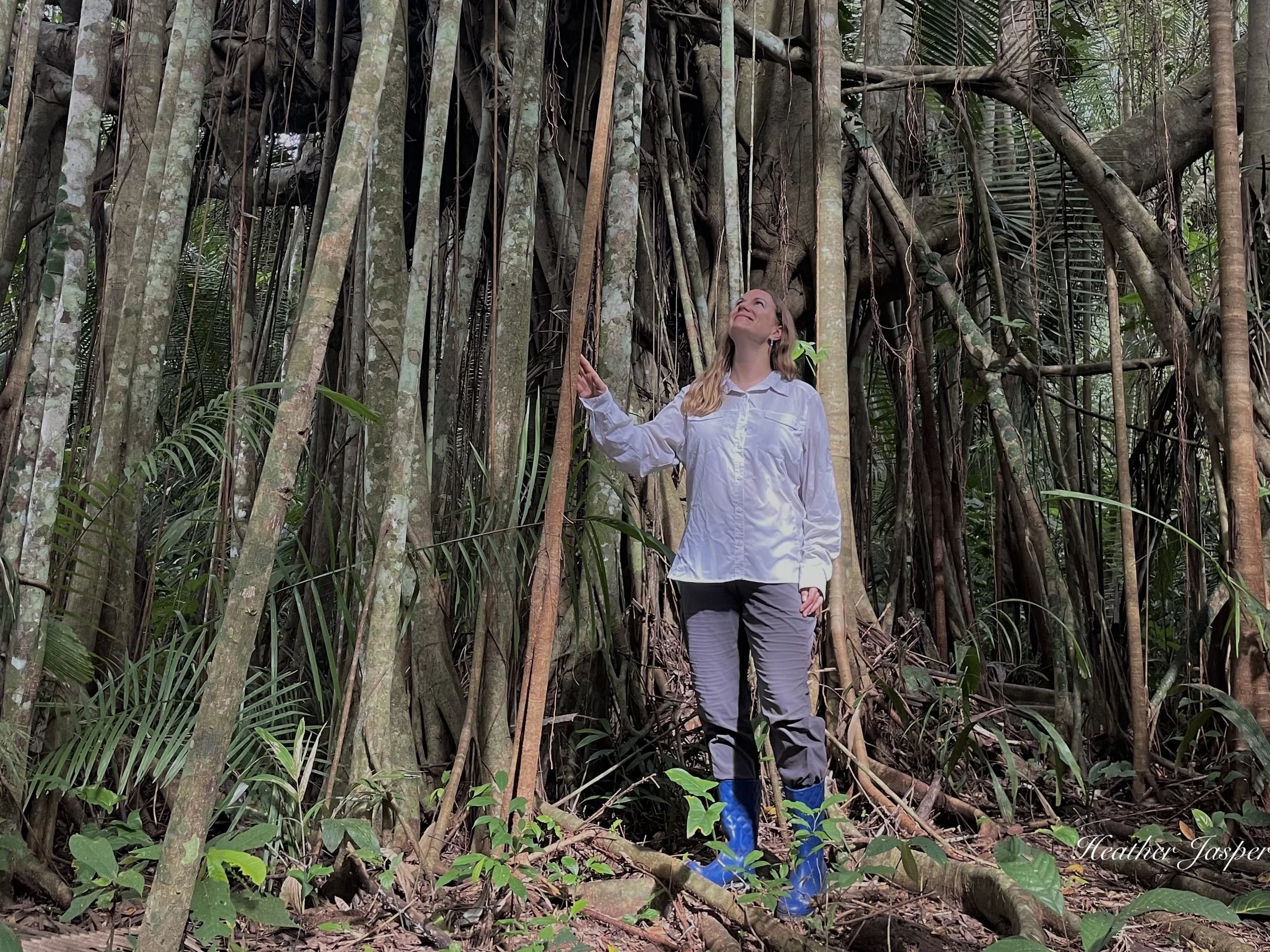 always wear tall boots in the rainforest
