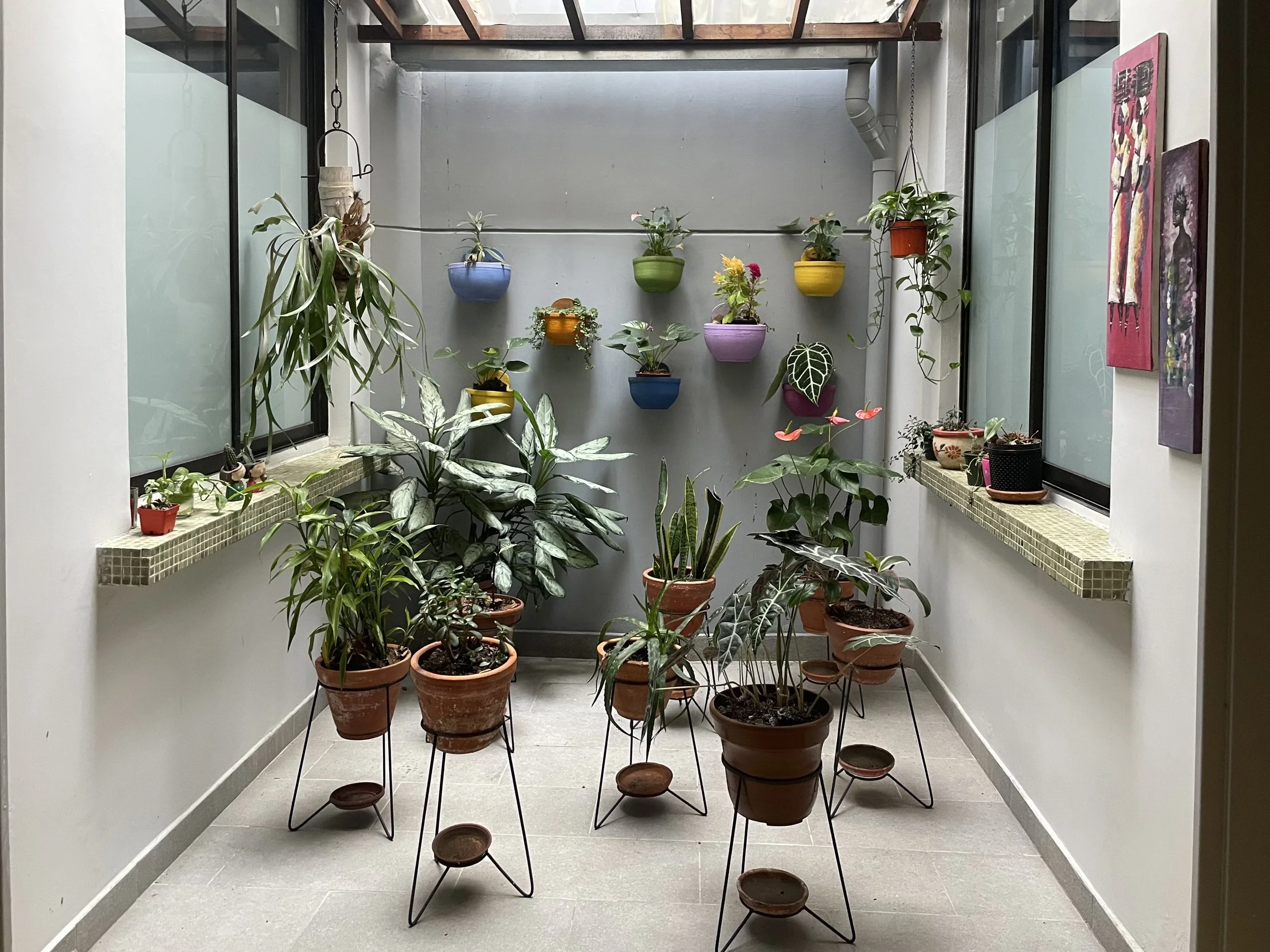 courtyard garden