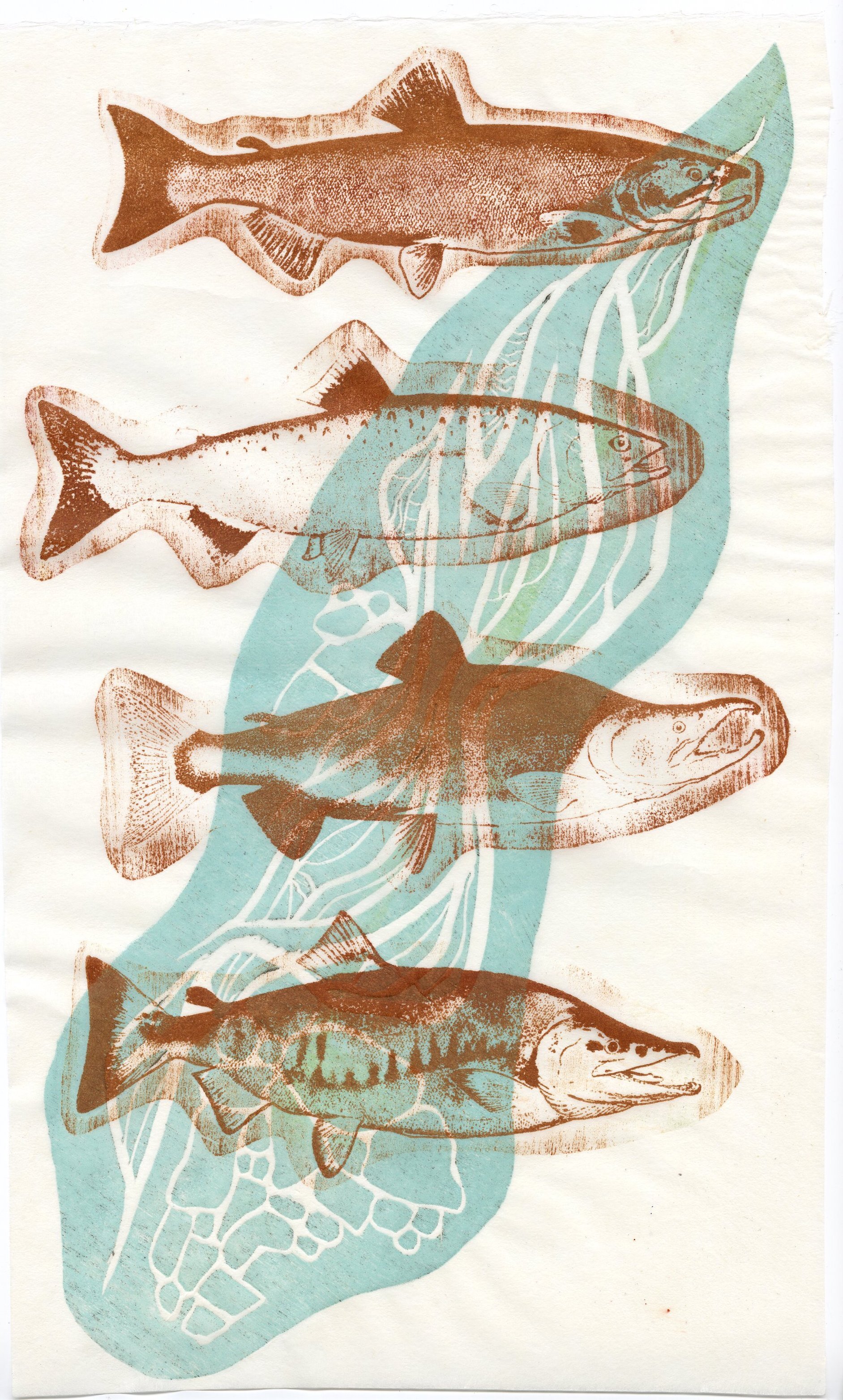 salmo flow.jpg