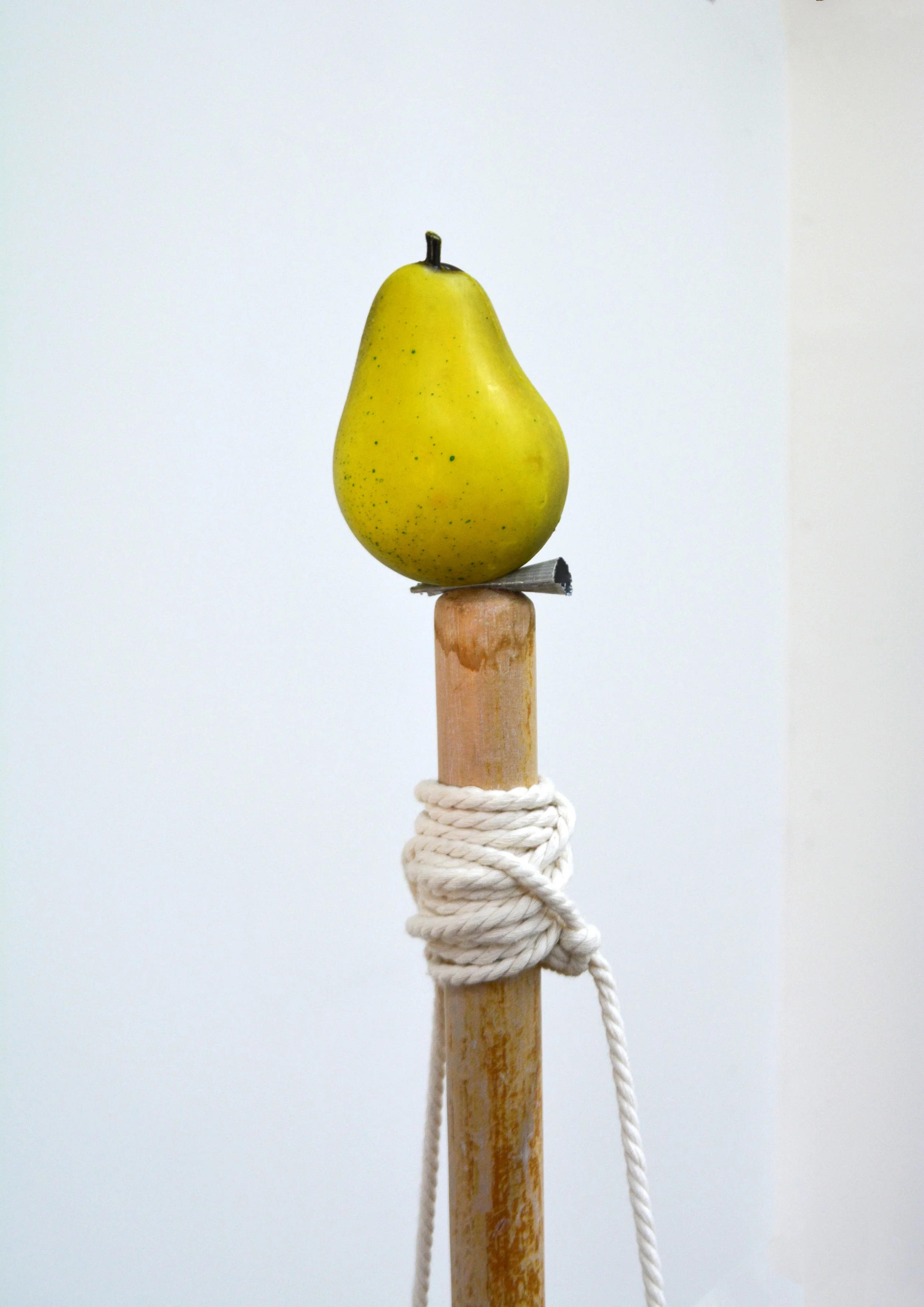 floating rinds (detail)