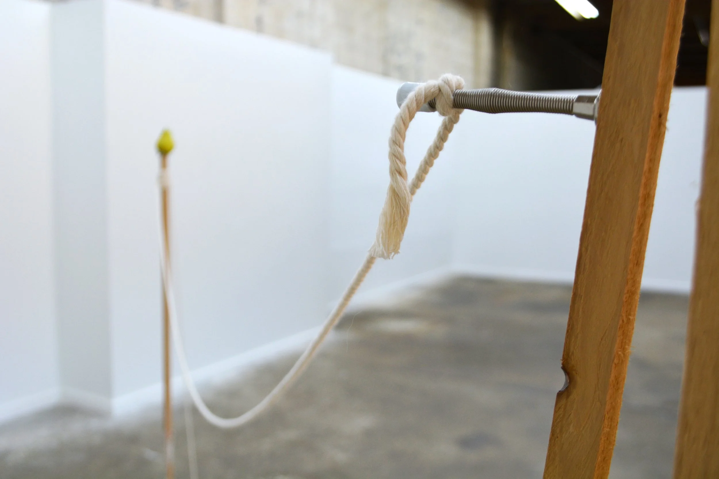 floating rinds (detail)