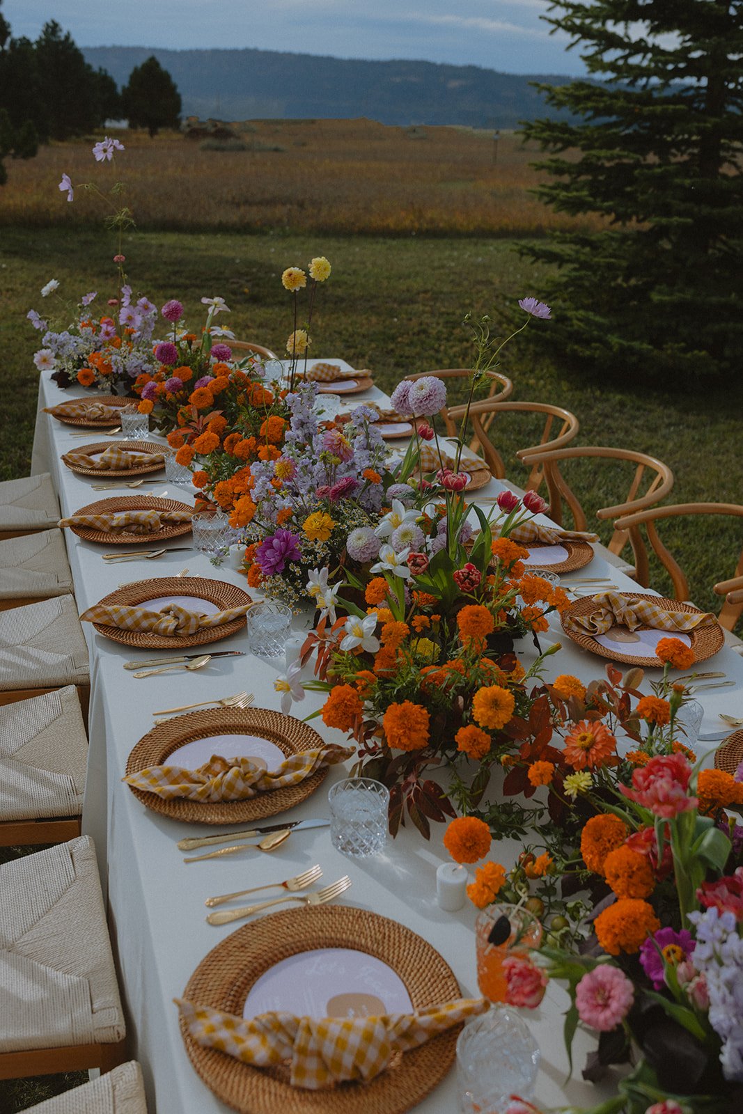 A long outdoor dinner table decorated with colorful flowers, set with plates, cutlery, and glasses, overlooking a grassy field and distant mountains.