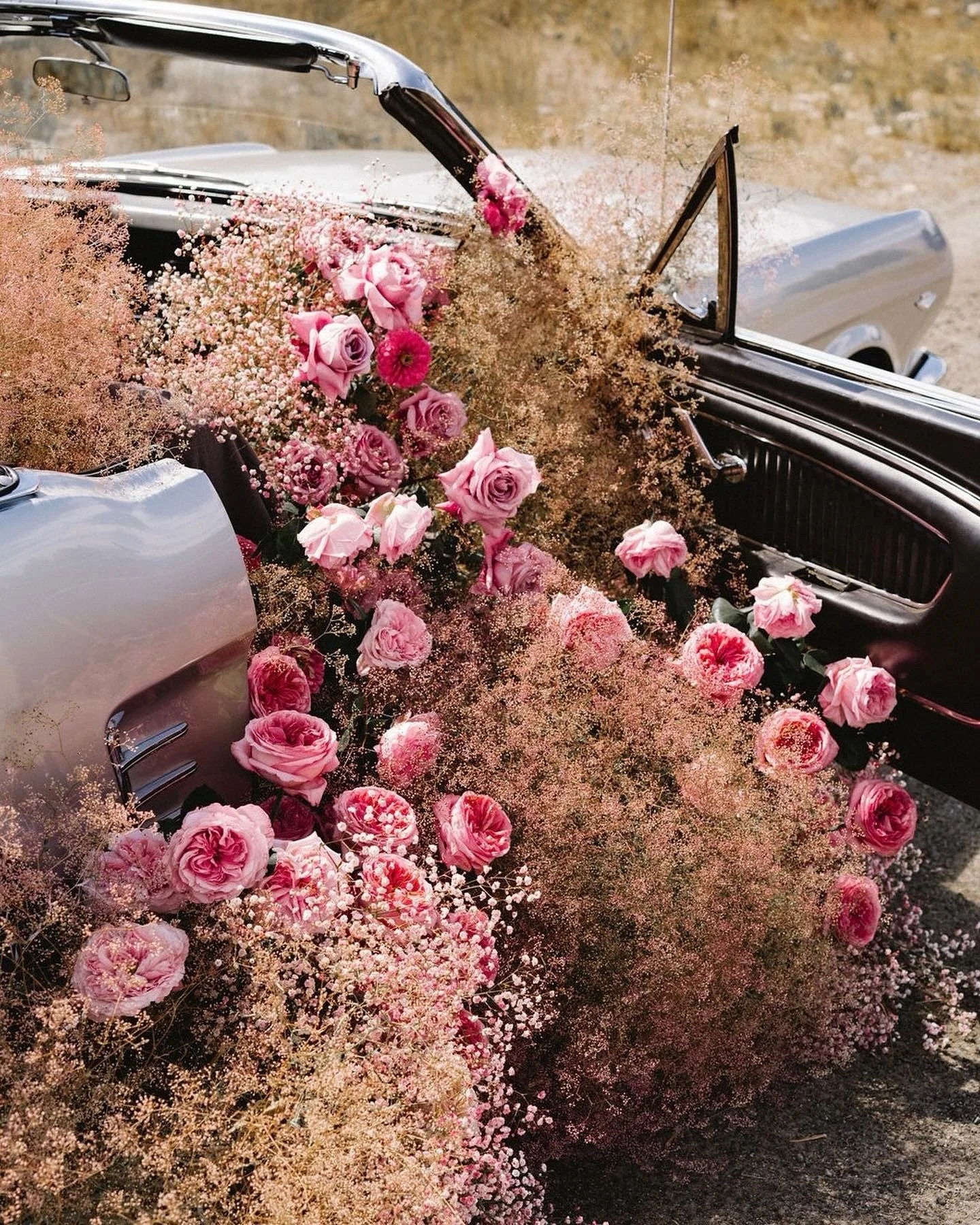 Pinks on pinks on pinks 💖

Photography:&nbsp;@halsey.pierce
Planning + Design:&nbsp;@amyandchloeevents
Florals:&nbsp;@twohandsfloral
Catering: @thehavensunvalley
Bartending:&nbsp;@cheersidaho
Venue: Private Estate
DJ:&nbsp;@djn8entertainment
Photo B