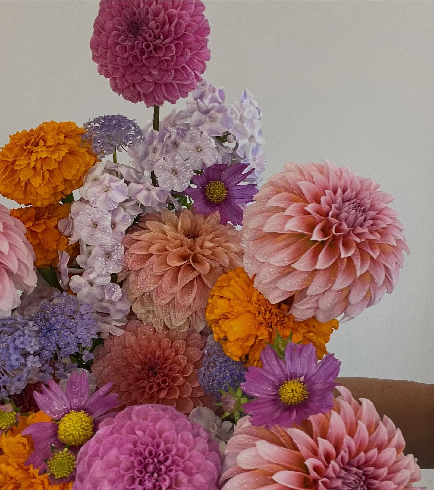 Dahlia, cosmo, discus and marigold season truly is my favorite time of the year. 

For Hallie 🌺
.
.
.
.
#FlowersOfInstagram
#InBloom
#FlowerAddict
#FloralInspo
#LocalFlowers
#FlowerArrangement
#SustainableFlorals
#BloomingLove
#FreshFlowers
#FloralD