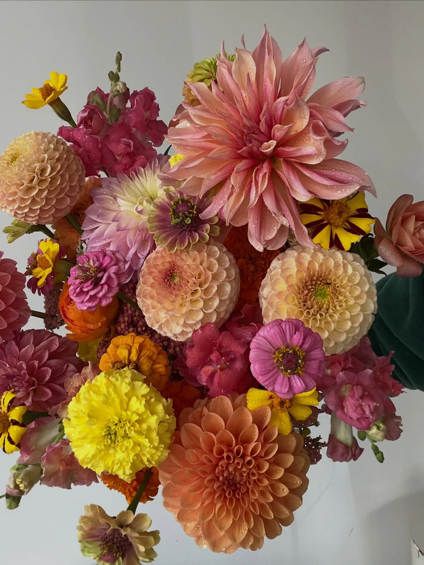 Magic really does happen when you work with the seasons and let the flowers do their thing.

Designing seasonally means vibrant color,stronger stems, move variety and blooms that last longer. Each arrangement shaped by what&rsquo;s thriving and at it
