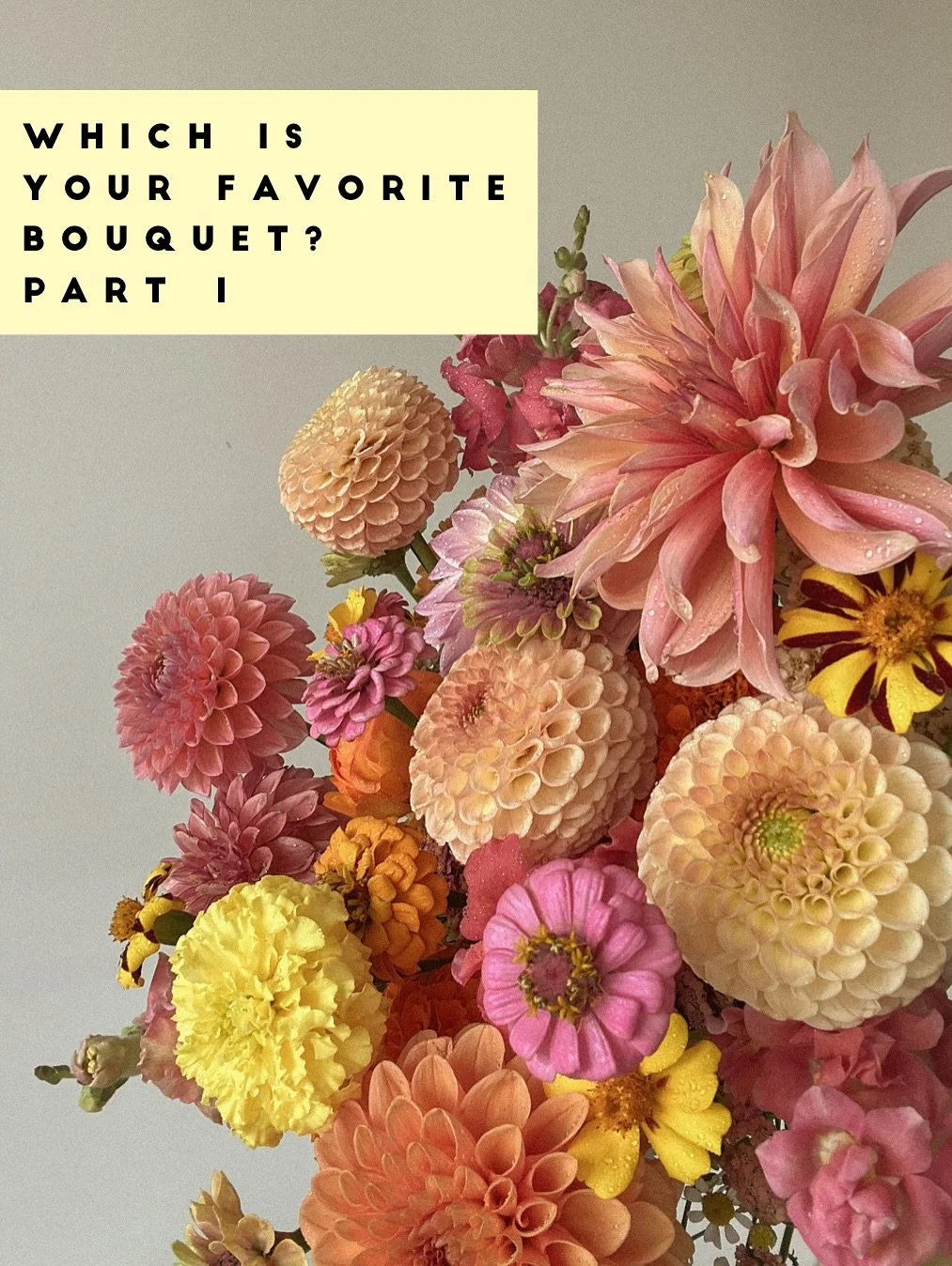 💐✨ It&rsquo;s officially time to crown our Best Bouquet of 2025! ✨💐
 From bold, blooming showstoppers to soft, romantic garden vibes, each bouquet is ready for its moment.
 Which one steals your heart? Drop your vote in the comments and help us pic