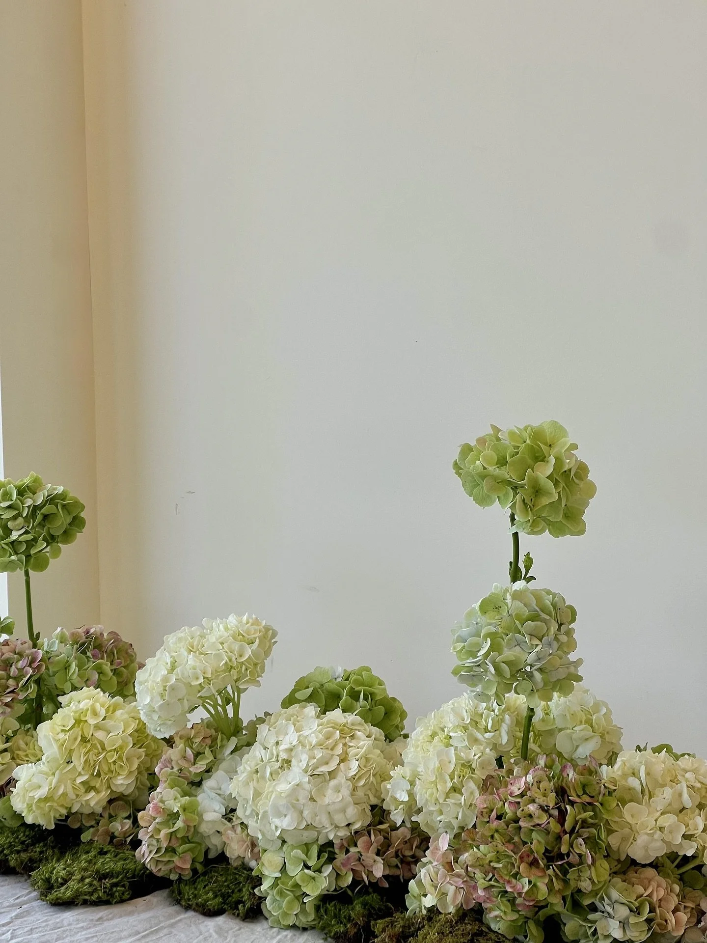 Stacks on stacks on stacks (of hydrangea)
.
.
.
#SunValleyWeddings 
#SunValleyIdaho
#IdahoWeddings 
#IdahoWedding 
#DestinationWedding 
#MountainWedding 
#WeddingInspiration 
#WeddingDay 
#HappilyEverAfter 
#LoveStory