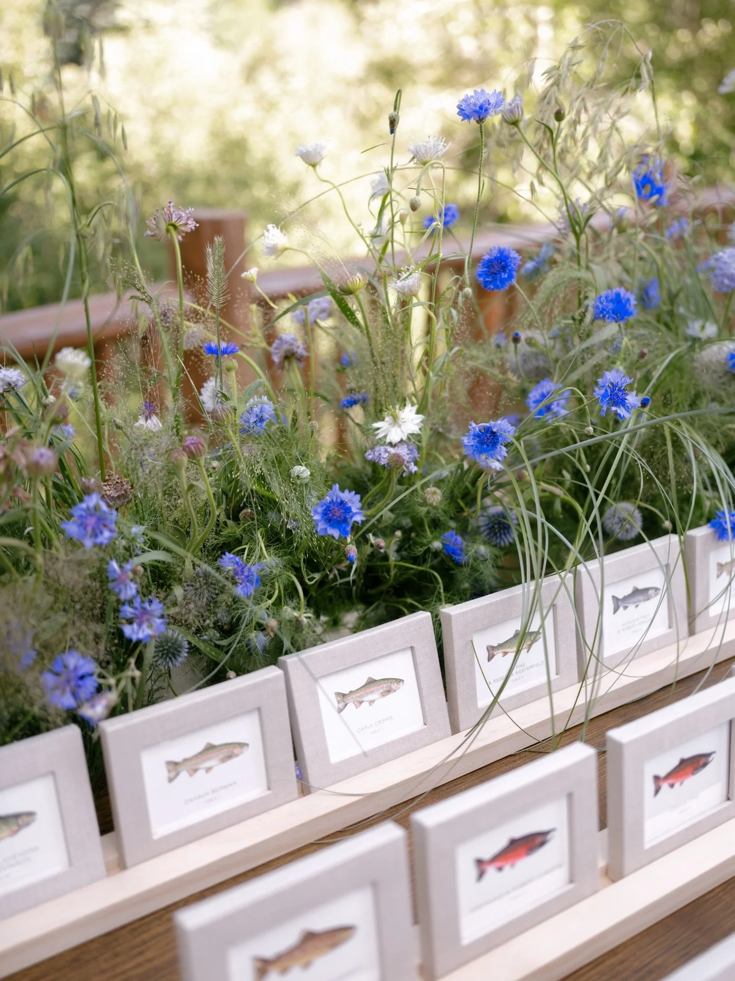 Let your escort table to be its own moment ✨

Interactive, fun, and out of the box. 

Planning &amp; Design: @londyn_grey_events
Photography: @lancenicoll
Videographer: @drakebuffingtonfilms
Floral Design: @twohandsfloral
Paper: @lotusandash
Band: @d