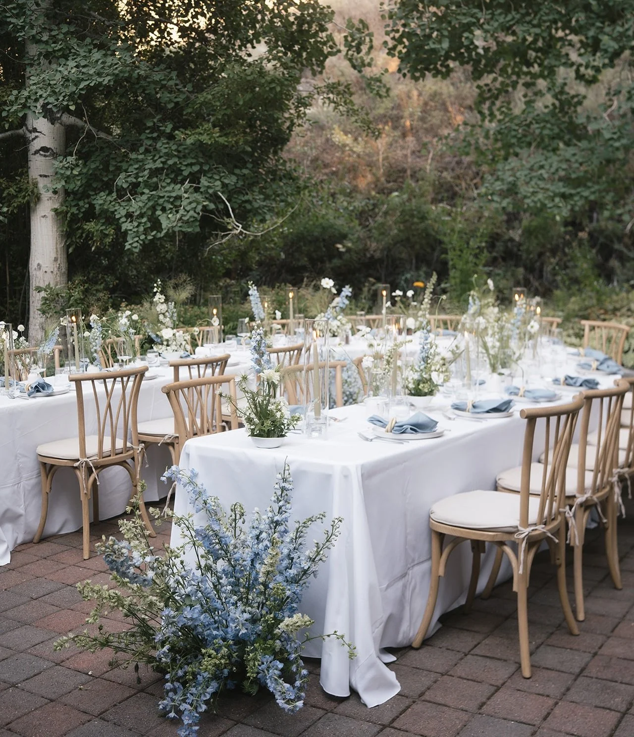 🤍💙The sweetest backyard elopement for Sydney and Jerry. 🤍💙
.
.
.
.
.
.
#weddingflorist #weddingflowers #weddinginspiration #bridalbouquet floraldesign