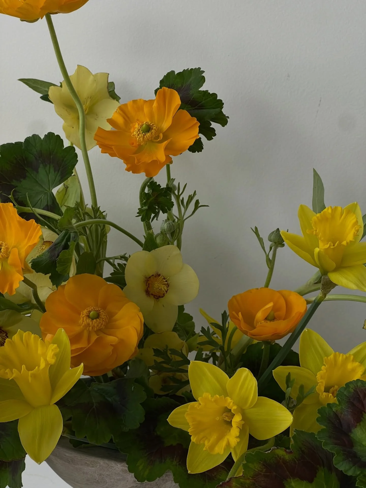 Oofffff spring you gorgeous thing, I can&rsquo;t wait to hangout again. 🌼🌼🌼