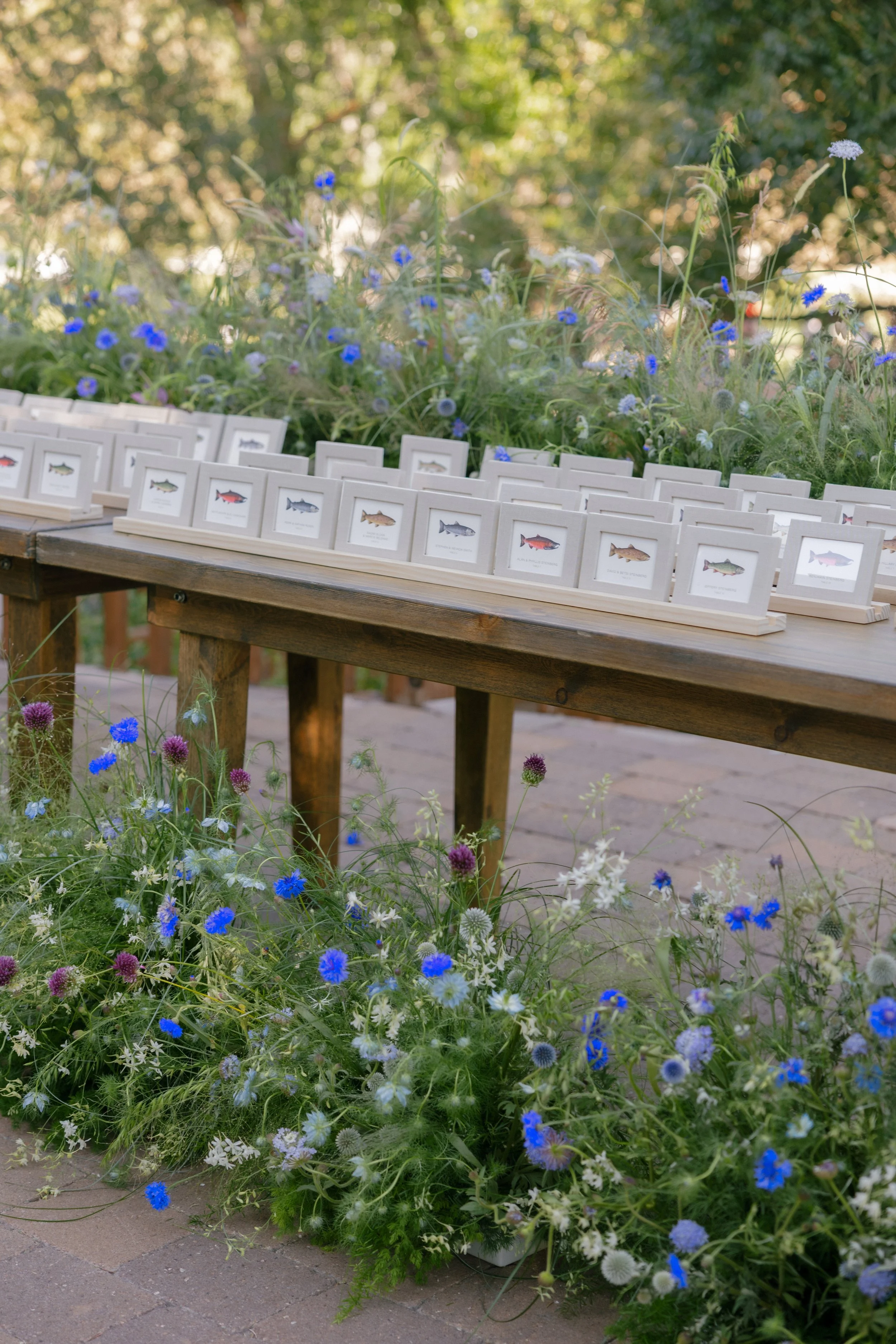 A display of framed fish illustrations on a wooden table outdoors with blue and white wildflowers in the foreground.